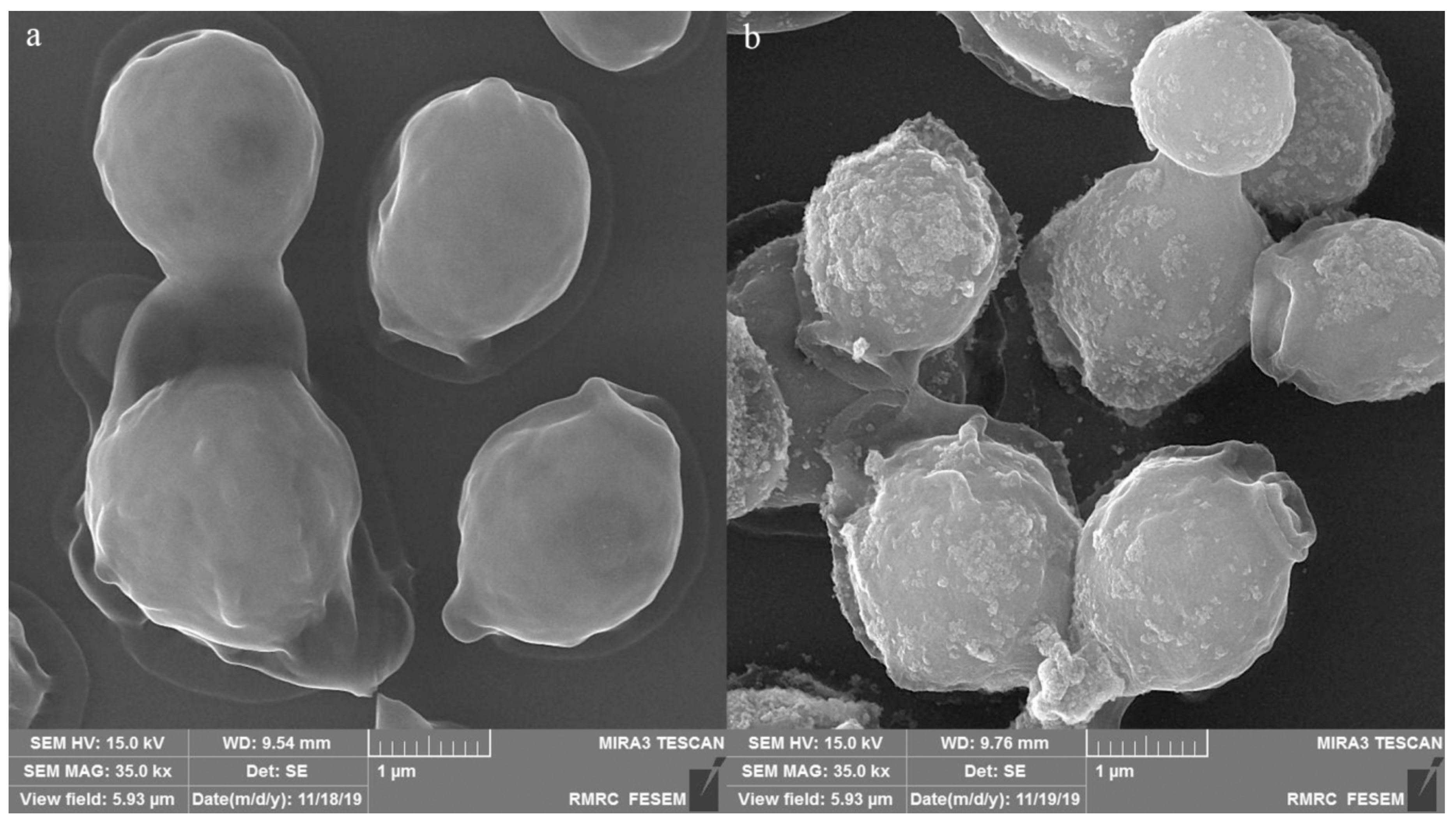 Nanomaterials 10 00111 g009 Nanomaterials 10 00111 g009