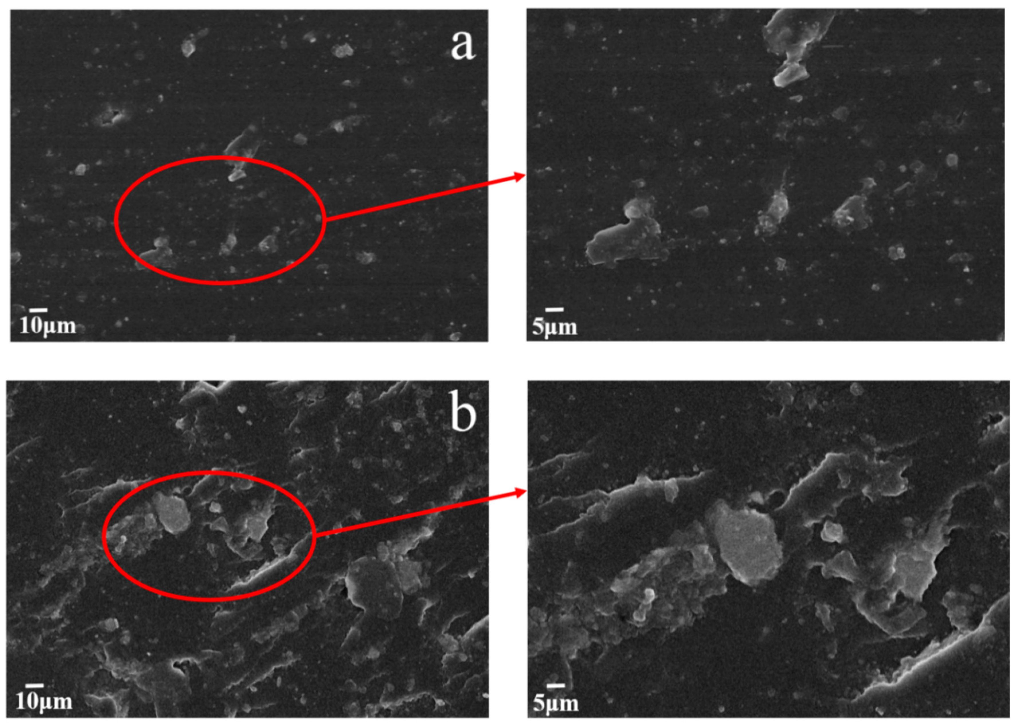 Nanomaterials 10 00137 g005 Nanomaterials 10 00137 g005