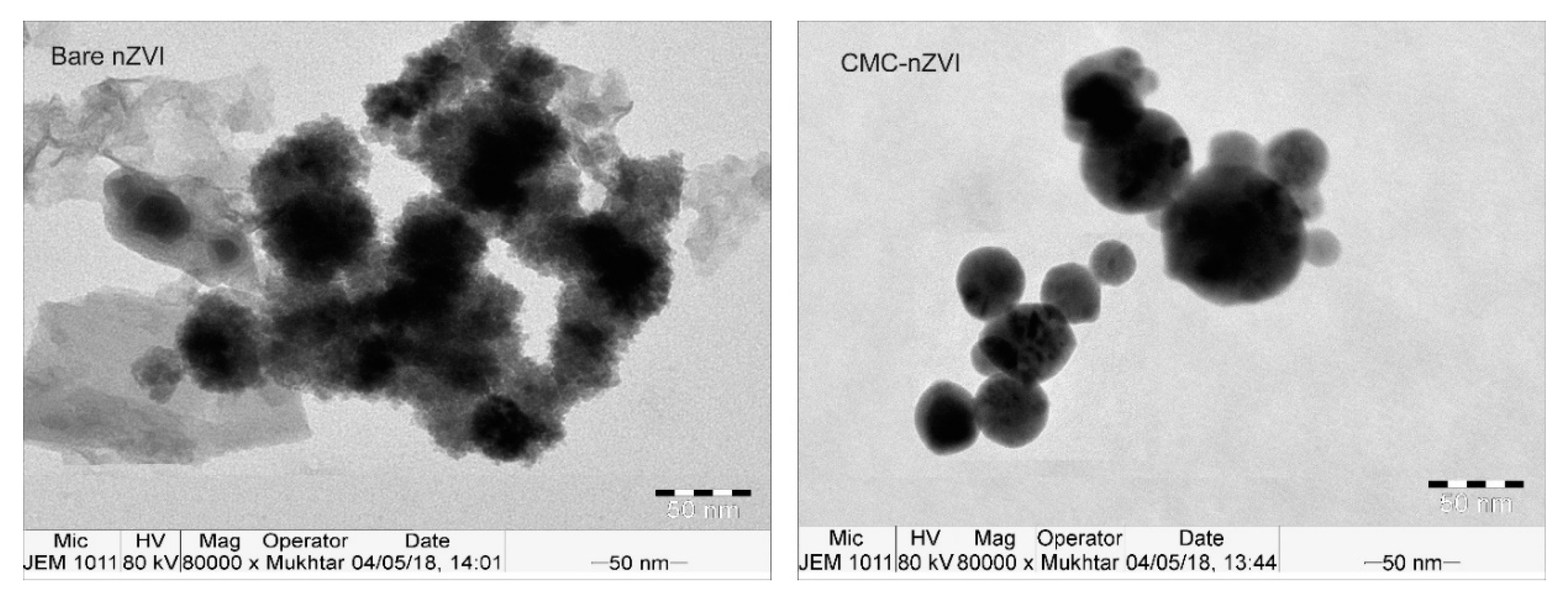 Stability of the YGYGY and HGHGH nanoparticles in water and in