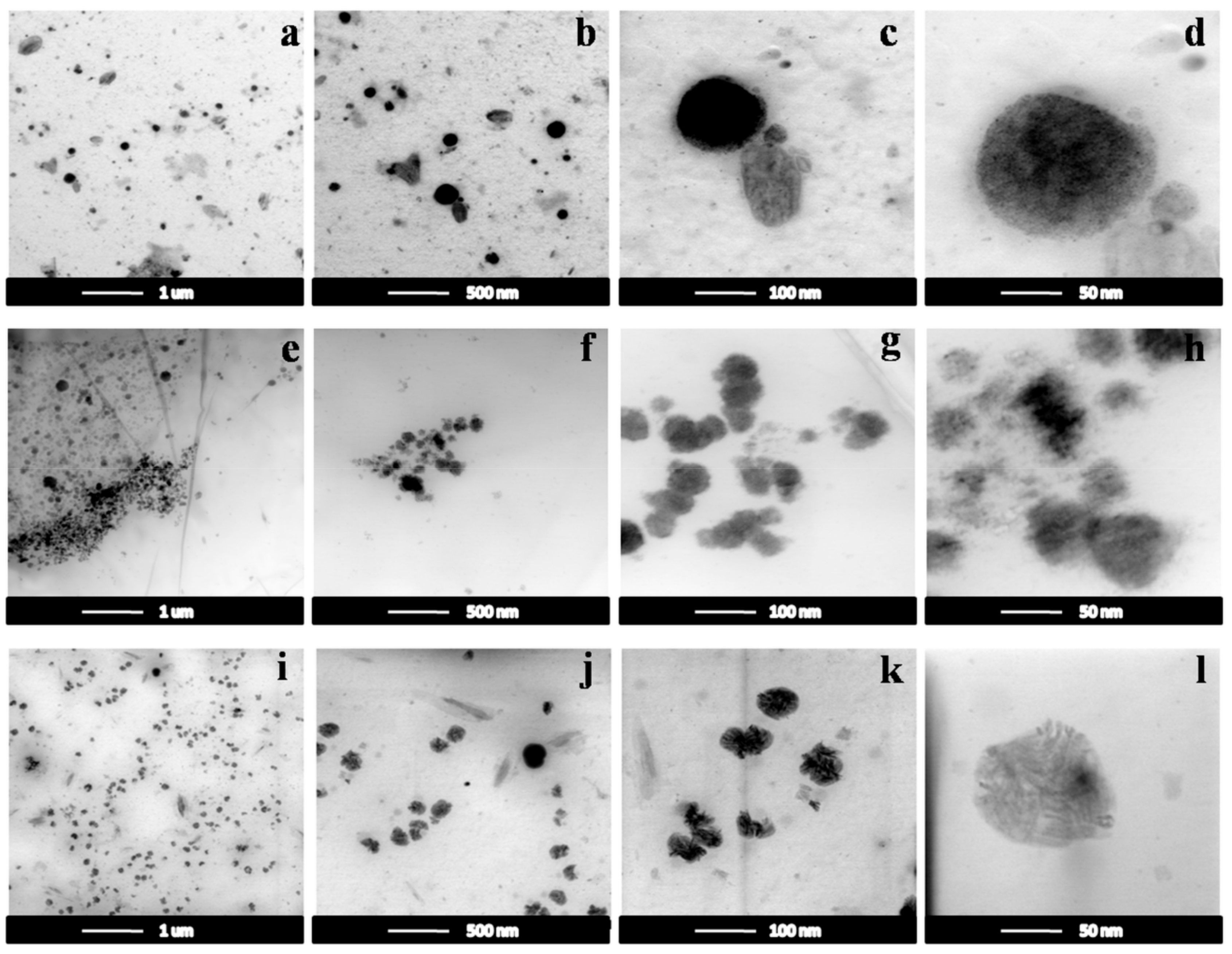 Nanomaterials 10 00195 g005