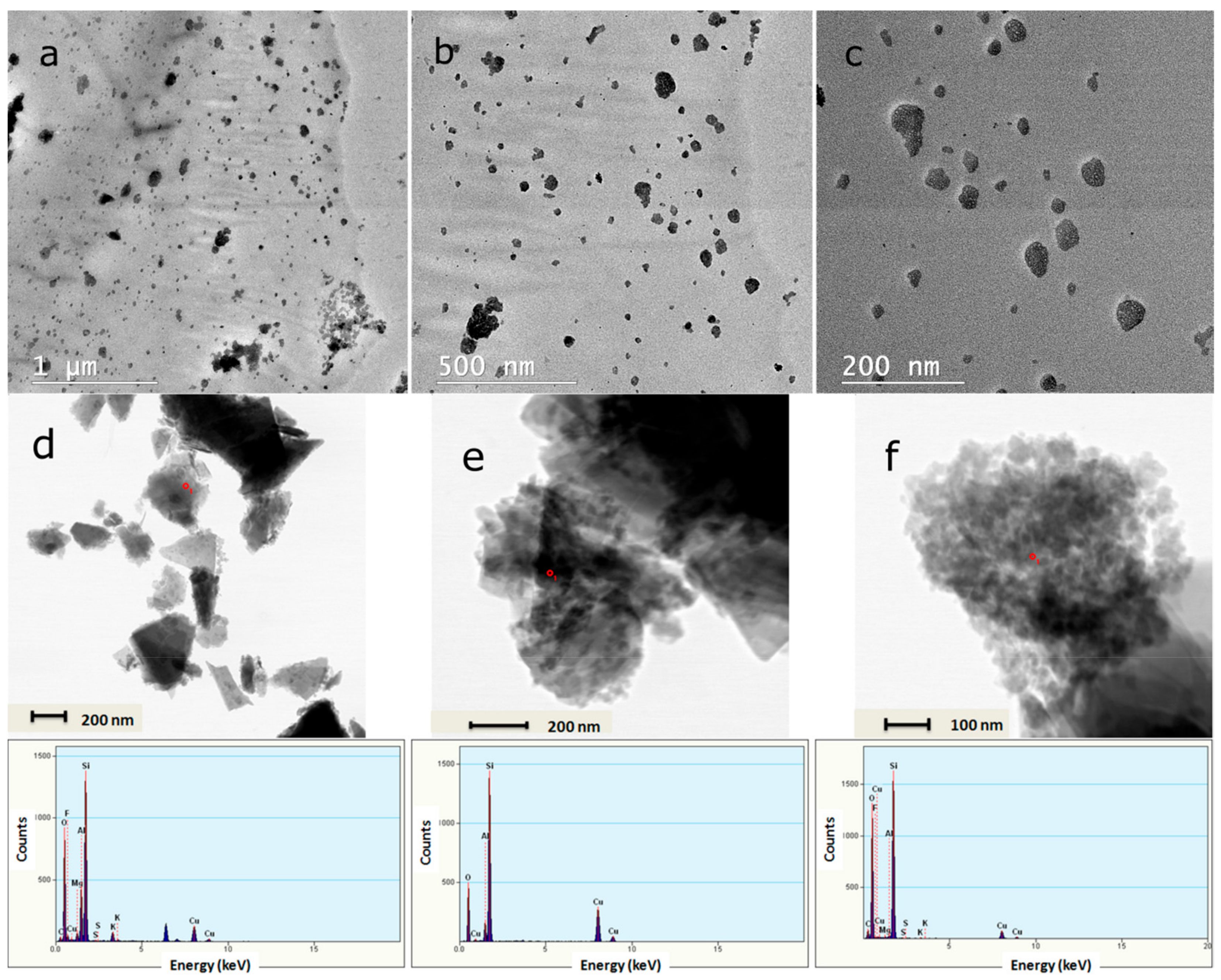 Nanomaterials 10 00195 g006