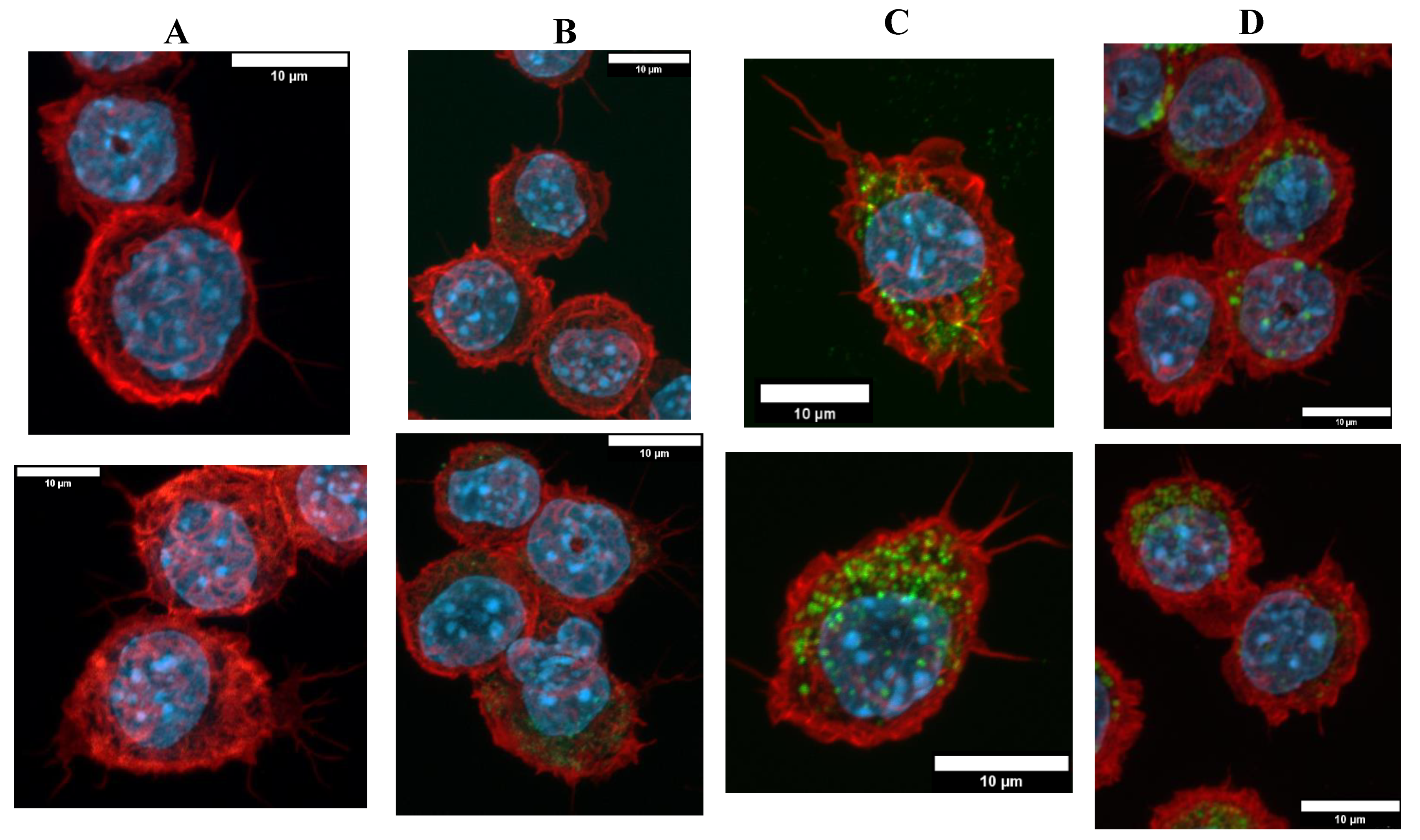 Nanomaterials 10 00215 g003