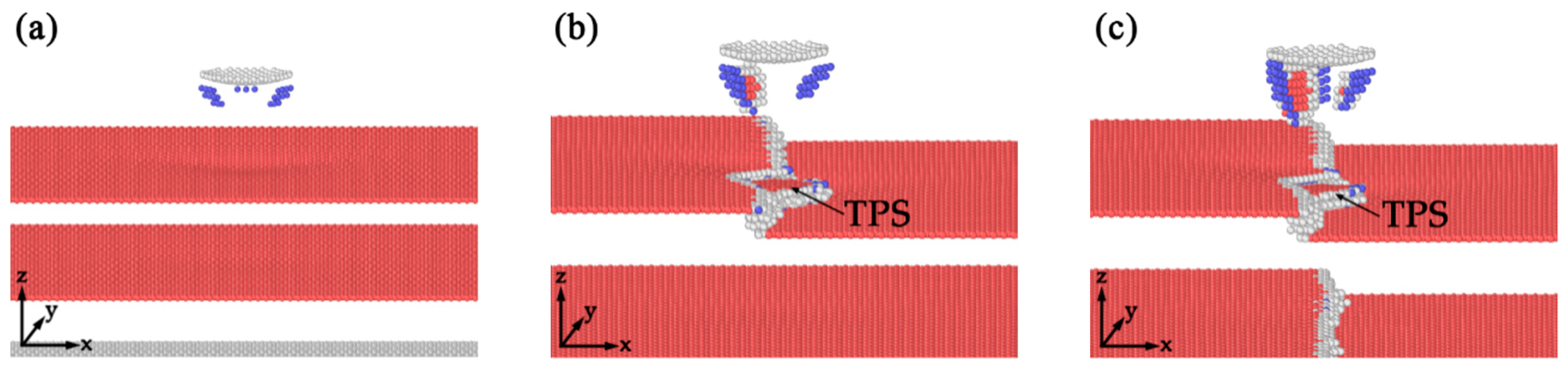 Nanomaterials 10 00221 g007 Nanomaterials 10 00221 g007