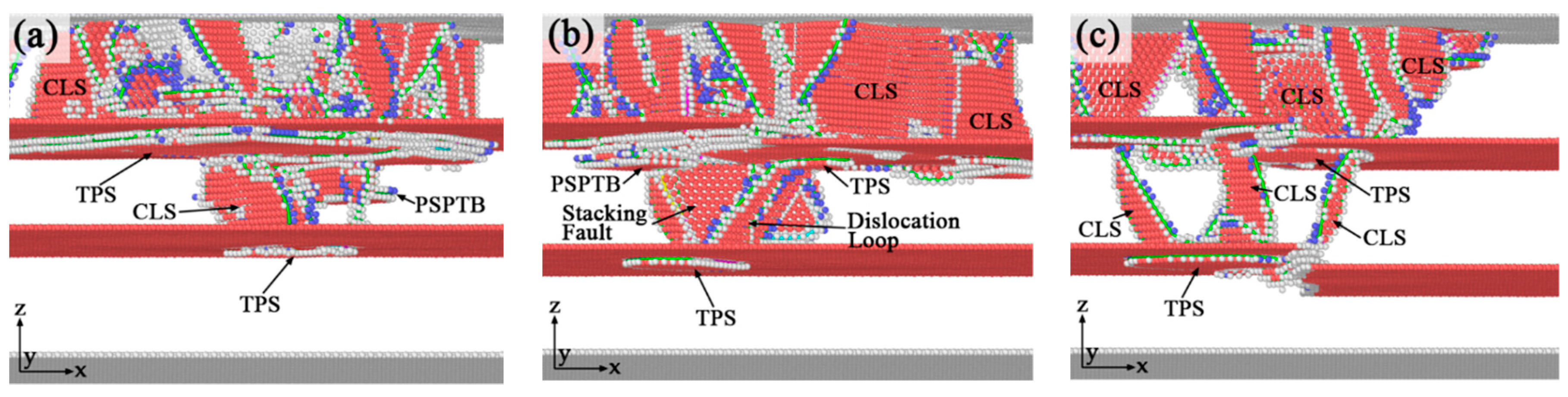 Nanomaterials 10 00221 g011 Nanomaterials 10 00221 g011