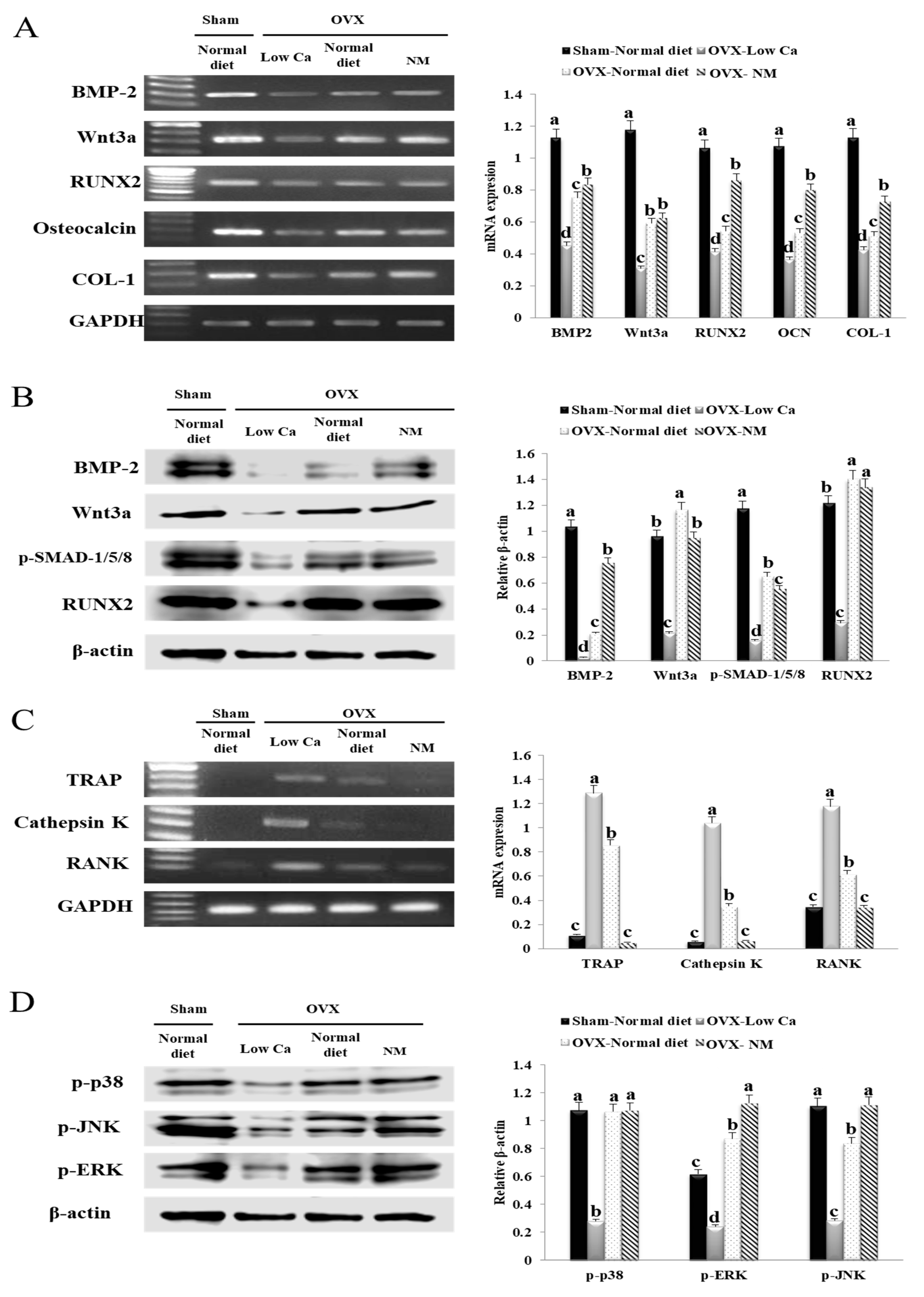 Nanomaterials 10 00230 g007 Nanomaterials 10 00230 g007
