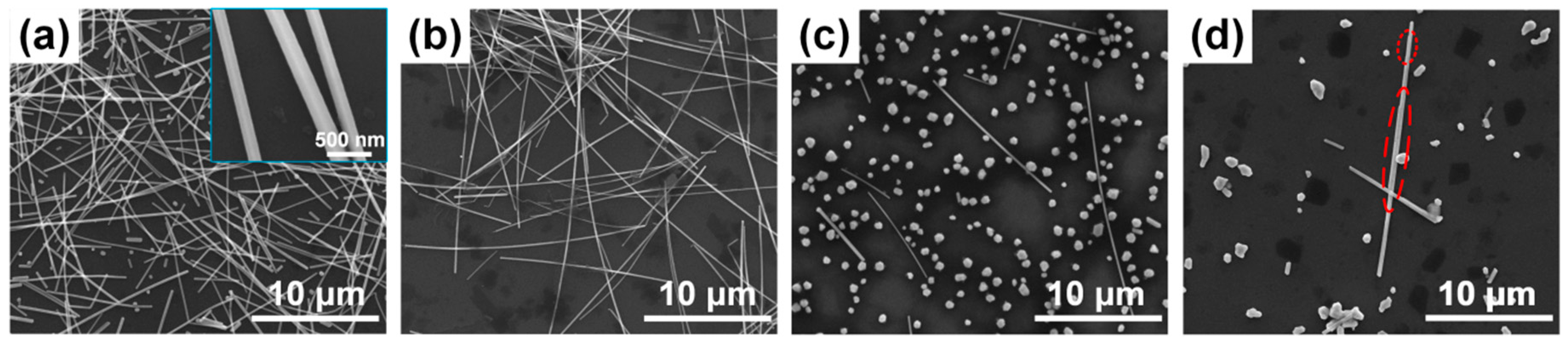 Nanomaterials 10 00237 g001