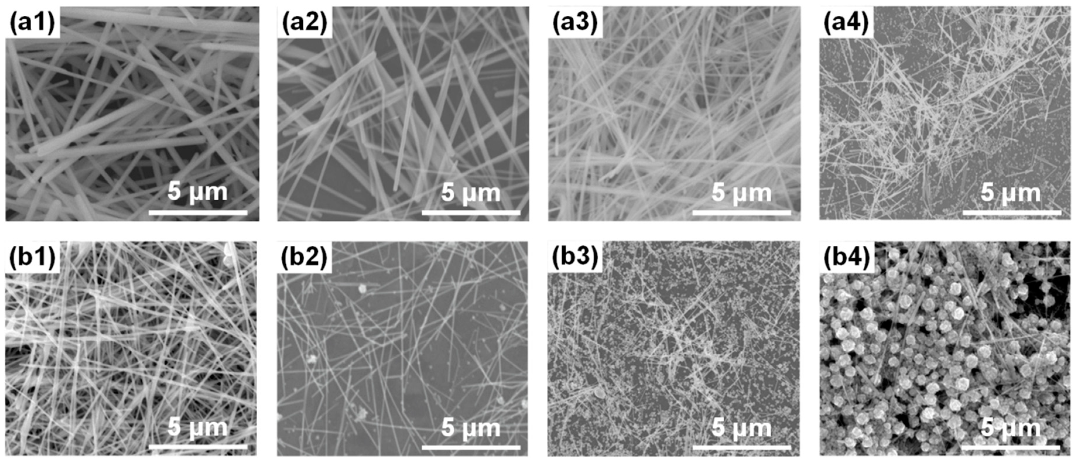 Nanomaterials 10 00237 g002