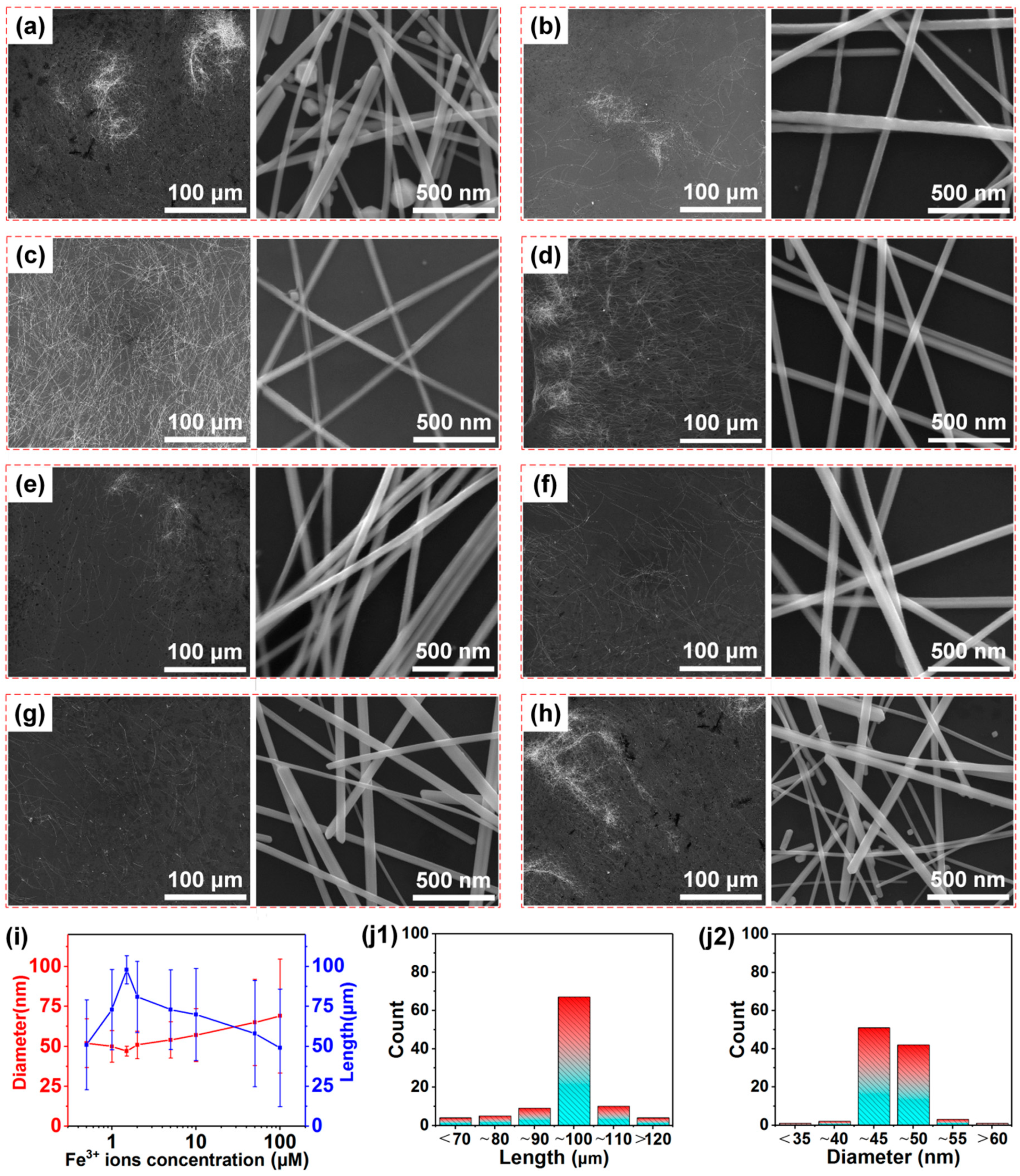 Nanomaterials 10 00237 g004
