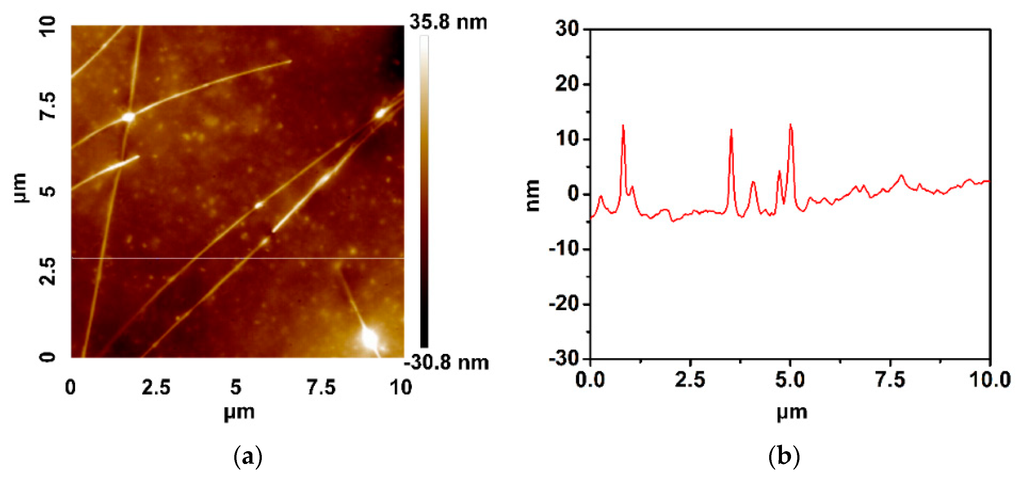 Nanomaterials 10 00237 g008
