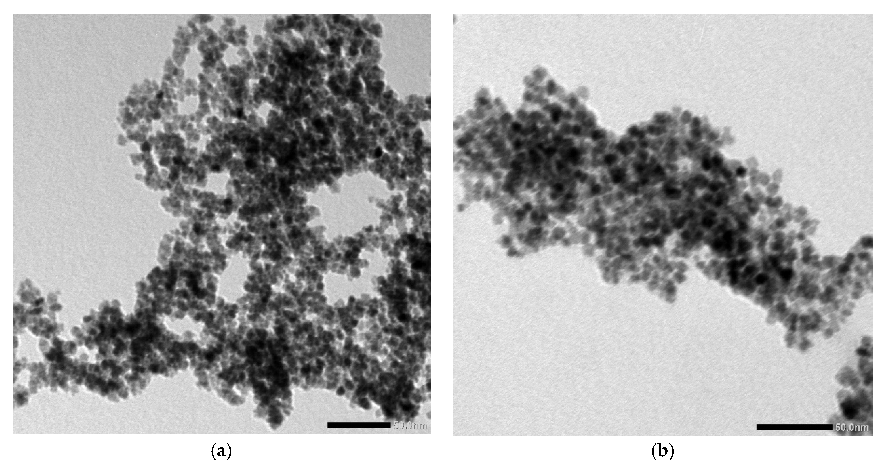 Nanomaterials 10 00314 g002