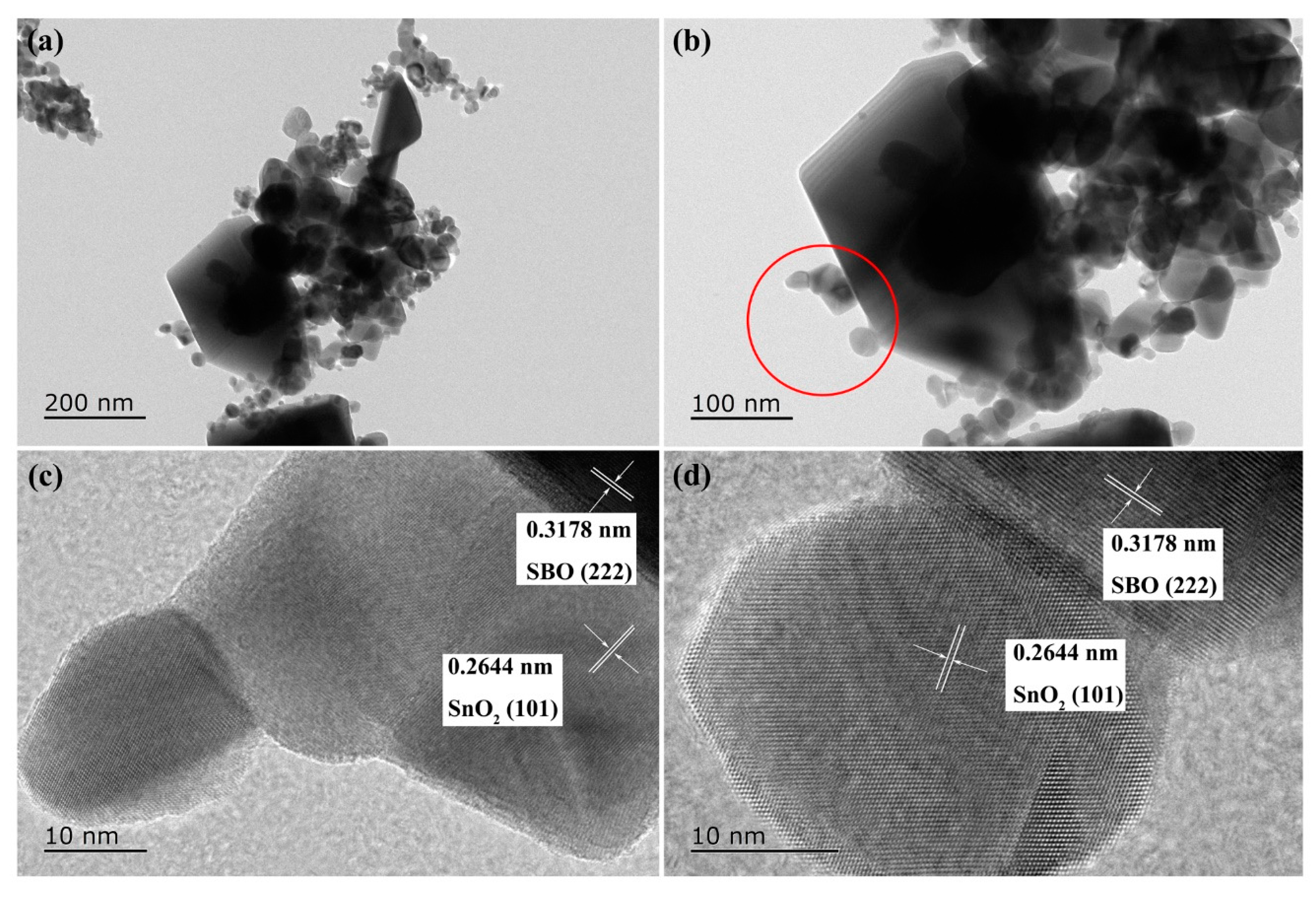 Nanomaterials 10 00321 g004 Nanomaterials 10 00321 g004