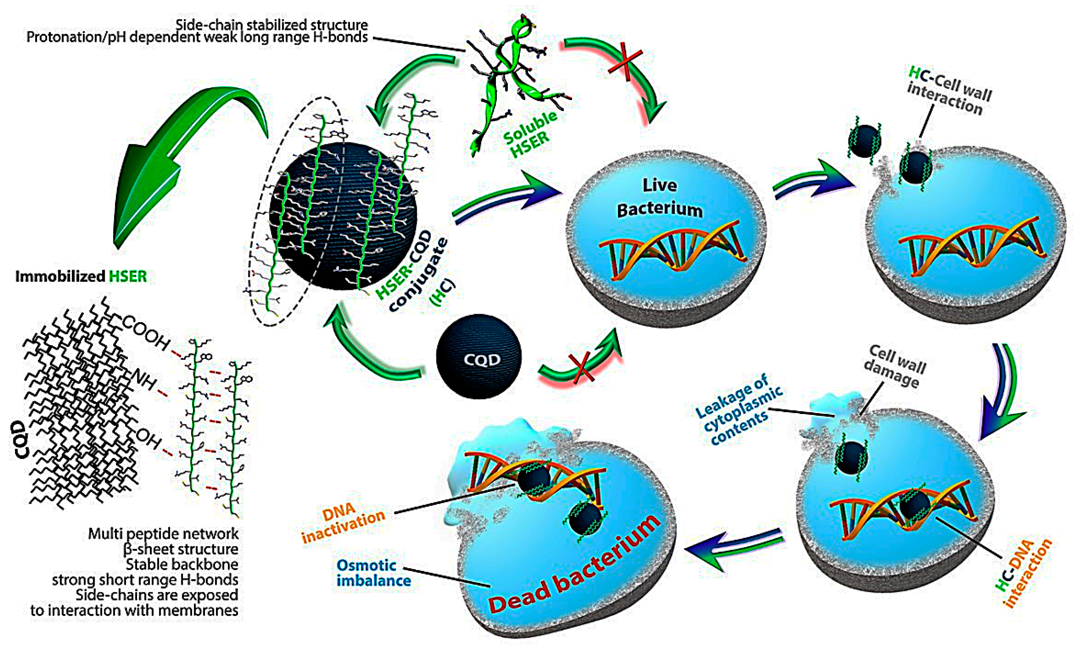 Nanomaterials 10 00325 g007 Nanomaterials 10 00325 g007