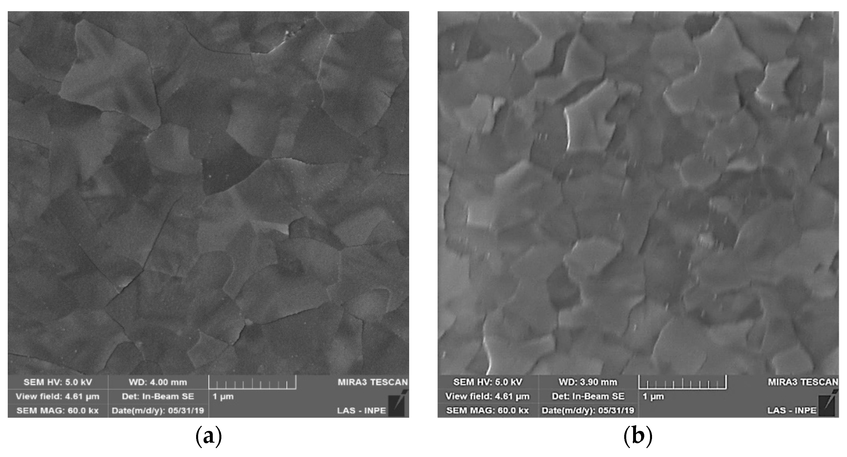 Nanomaterials 10 00338 g006a