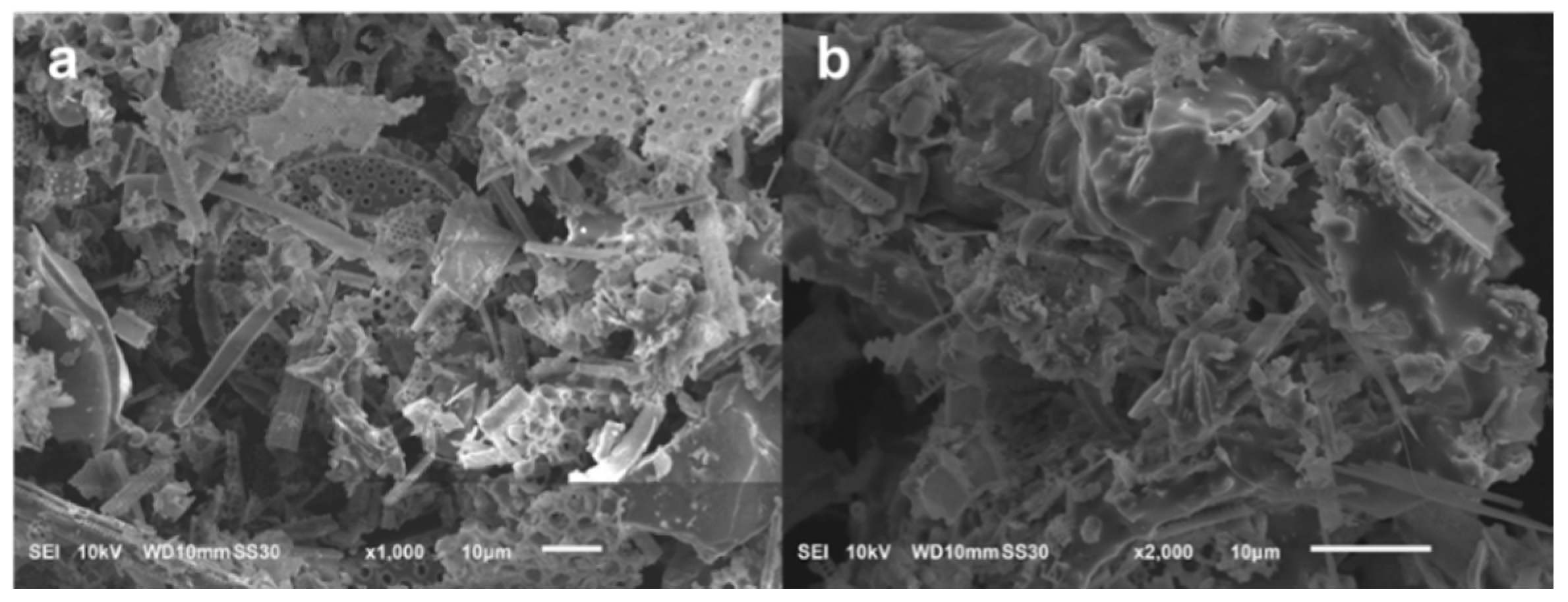Nanomaterials 10 00339 g001