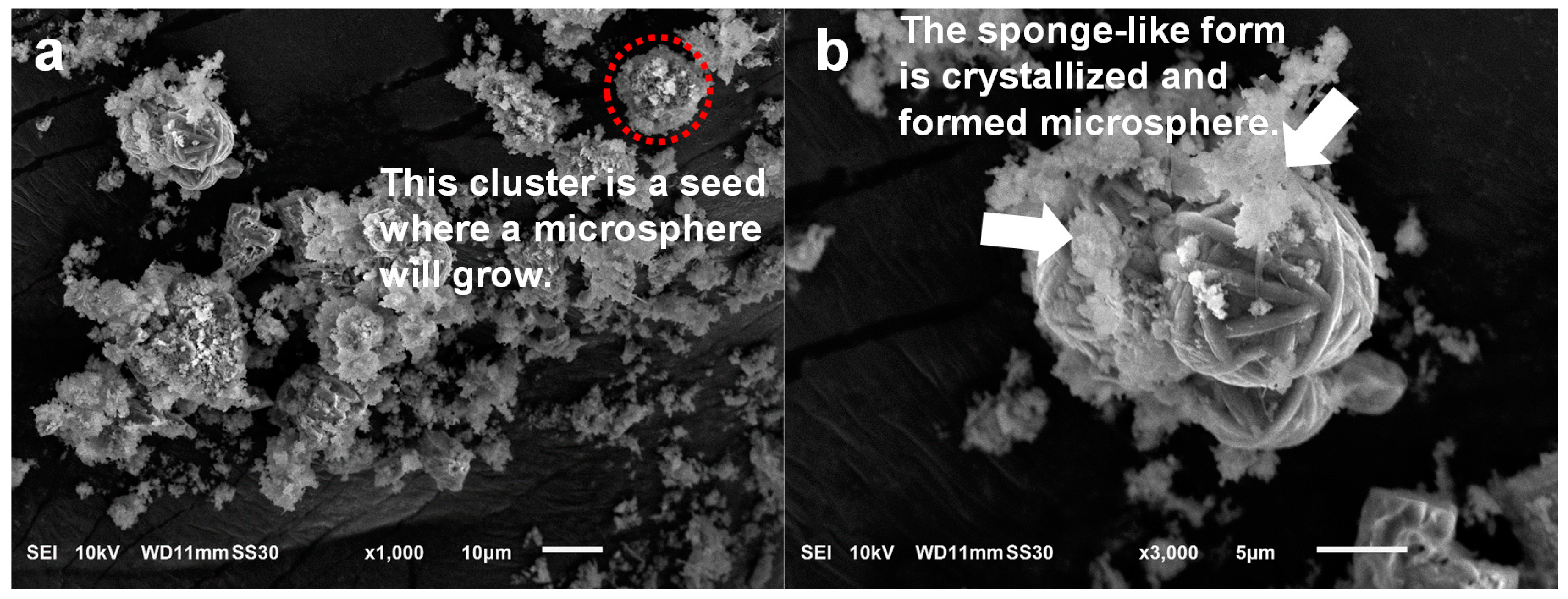 Nanomaterials 10 00339 g006