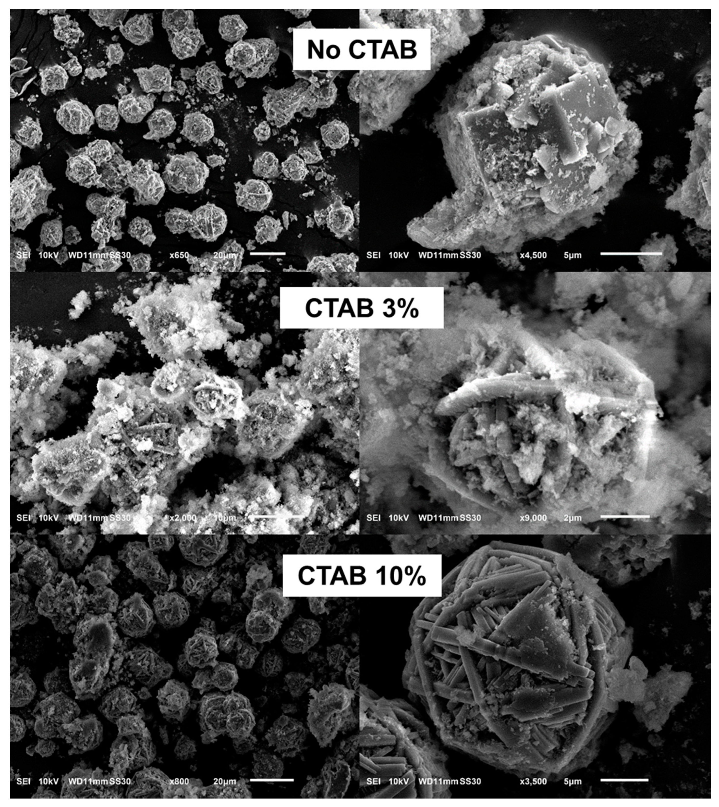 Nanomaterials | Free Full-Text | Synthesis of Diatomite-Based