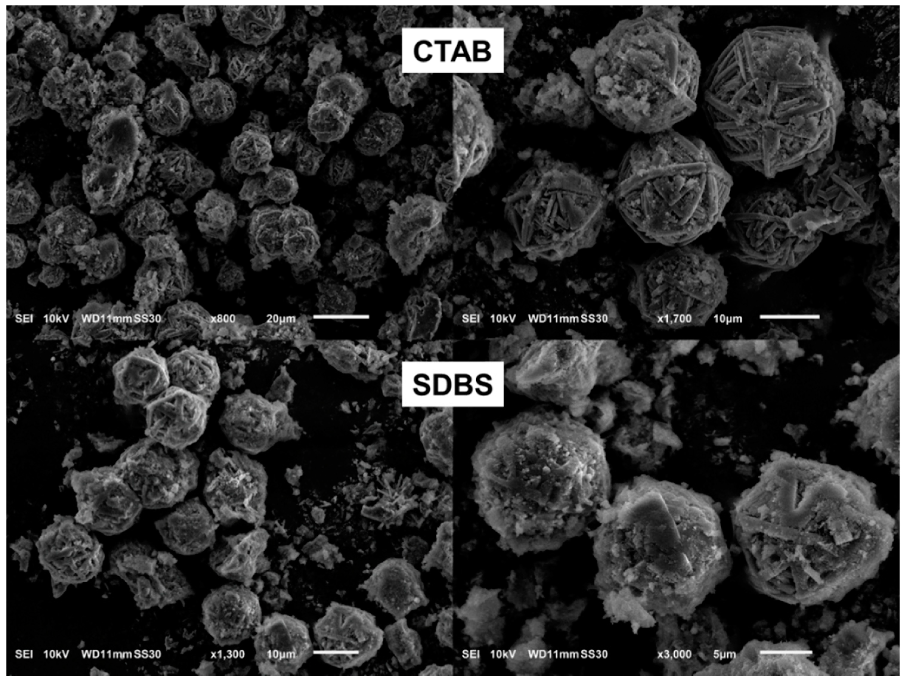 Nanomaterials 10 00339 g008