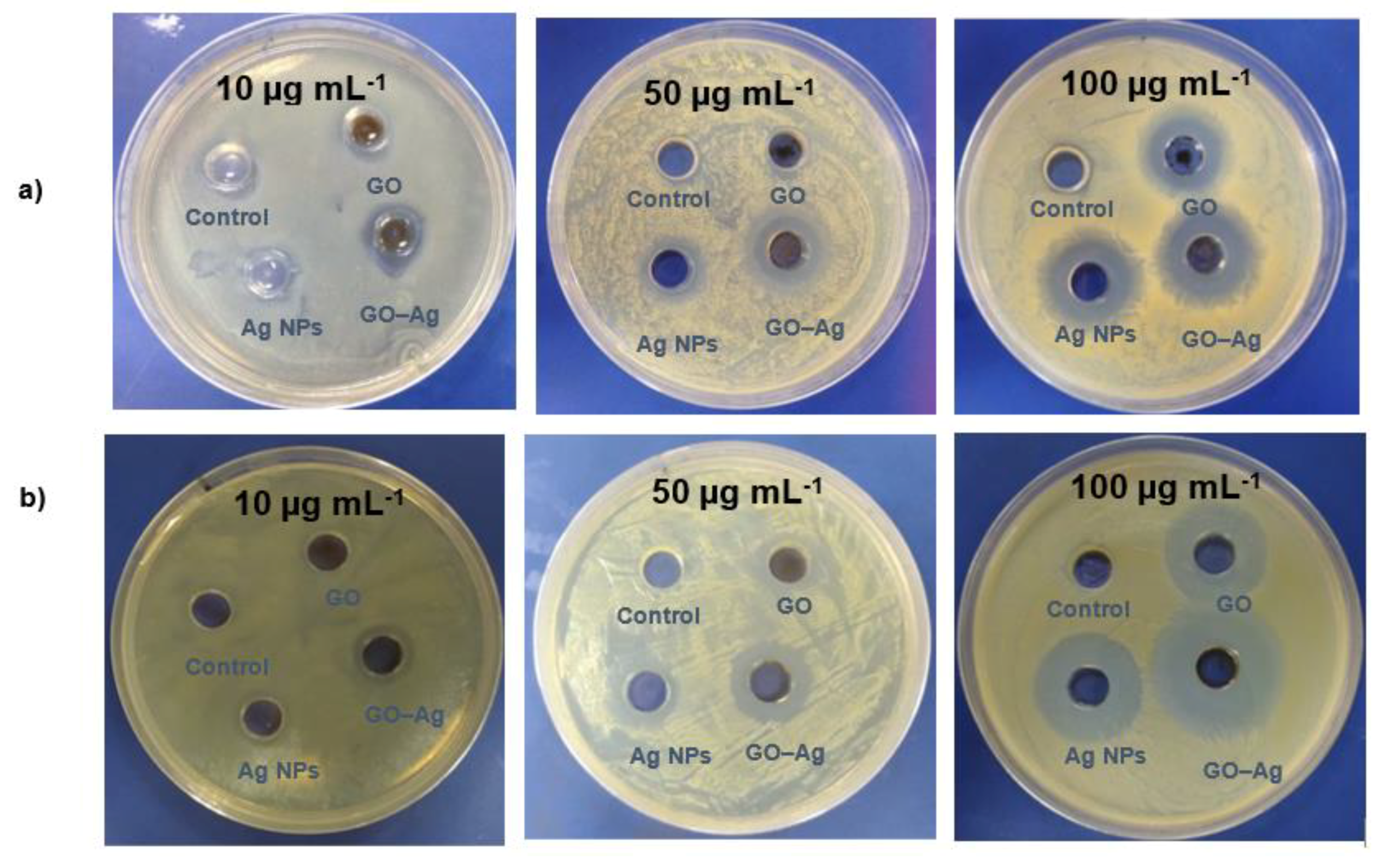 Antibacterial activity. Antibacterial. Silver Oxide Antibacterial. Ampicillin Antibacterial activity Disc diffusion method. Solid things.