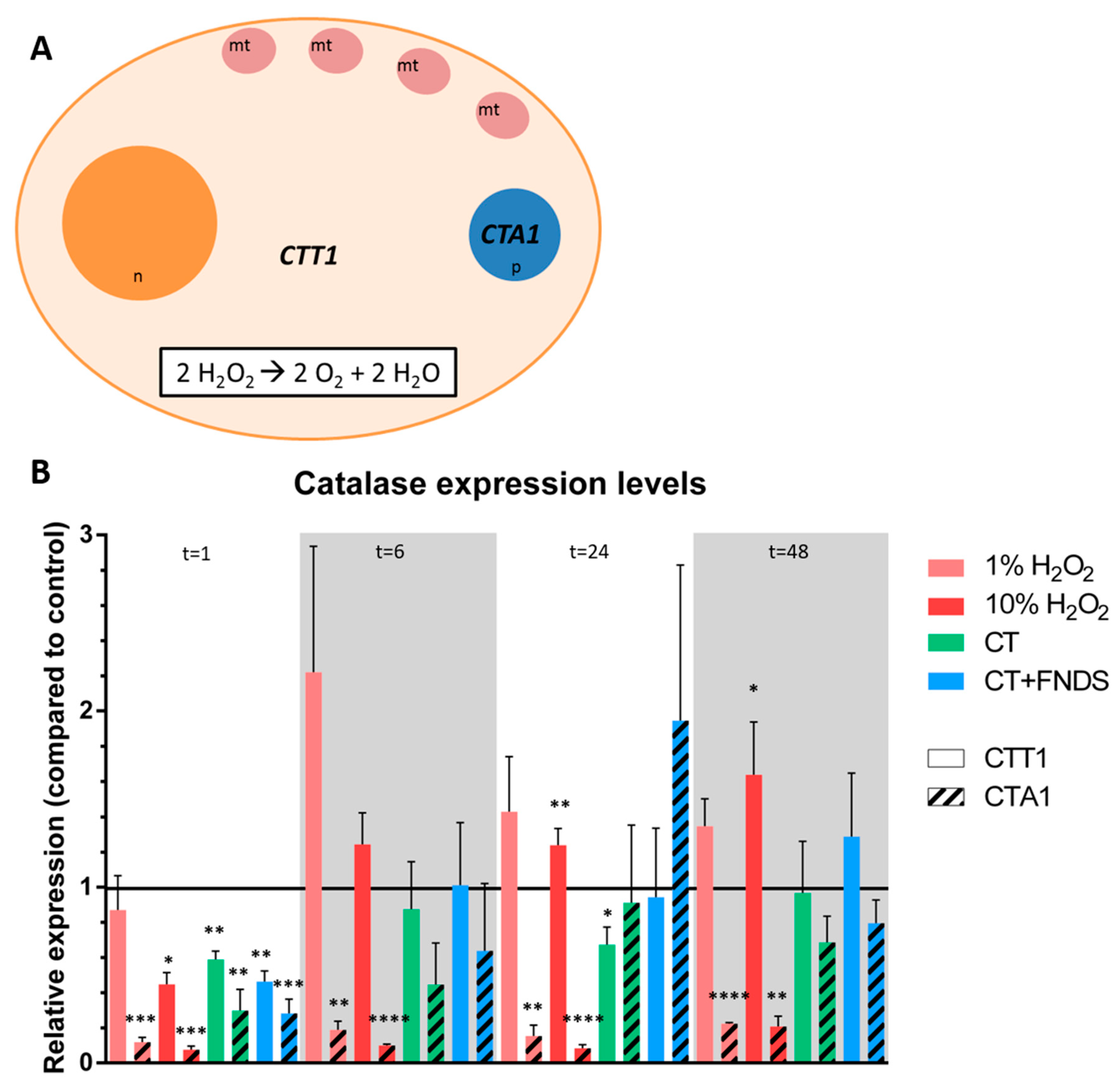 Nanomaterials 10 00372 g002 Nanomaterials 10 00372 g002