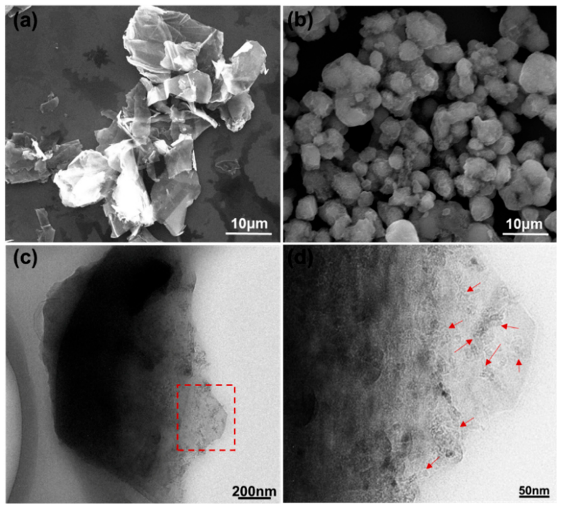 Nanomaterials 10 00375 g002