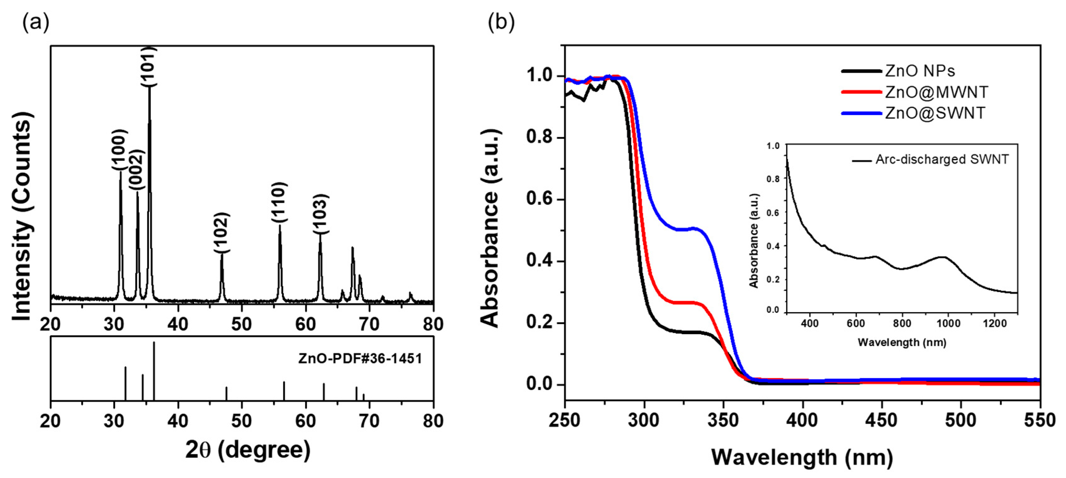 Nanomaterials 10 00395 g001