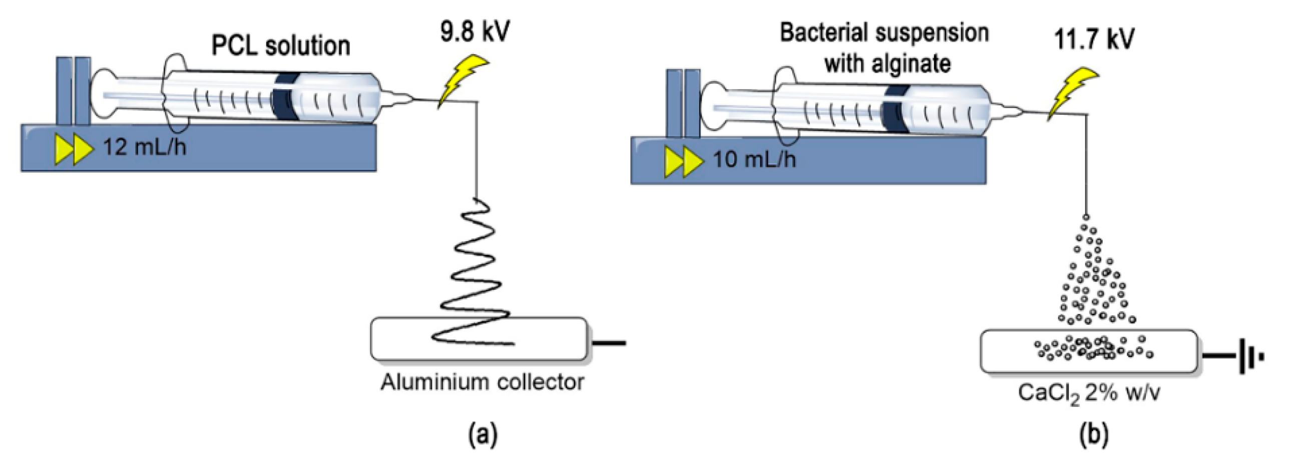 Nanomaterials Free Full Text Effective Gold Biosorption By Electrospun And Electrosprayed Bio Composites With Immobilized Lysinibacillus Sphaericus Cbam5
