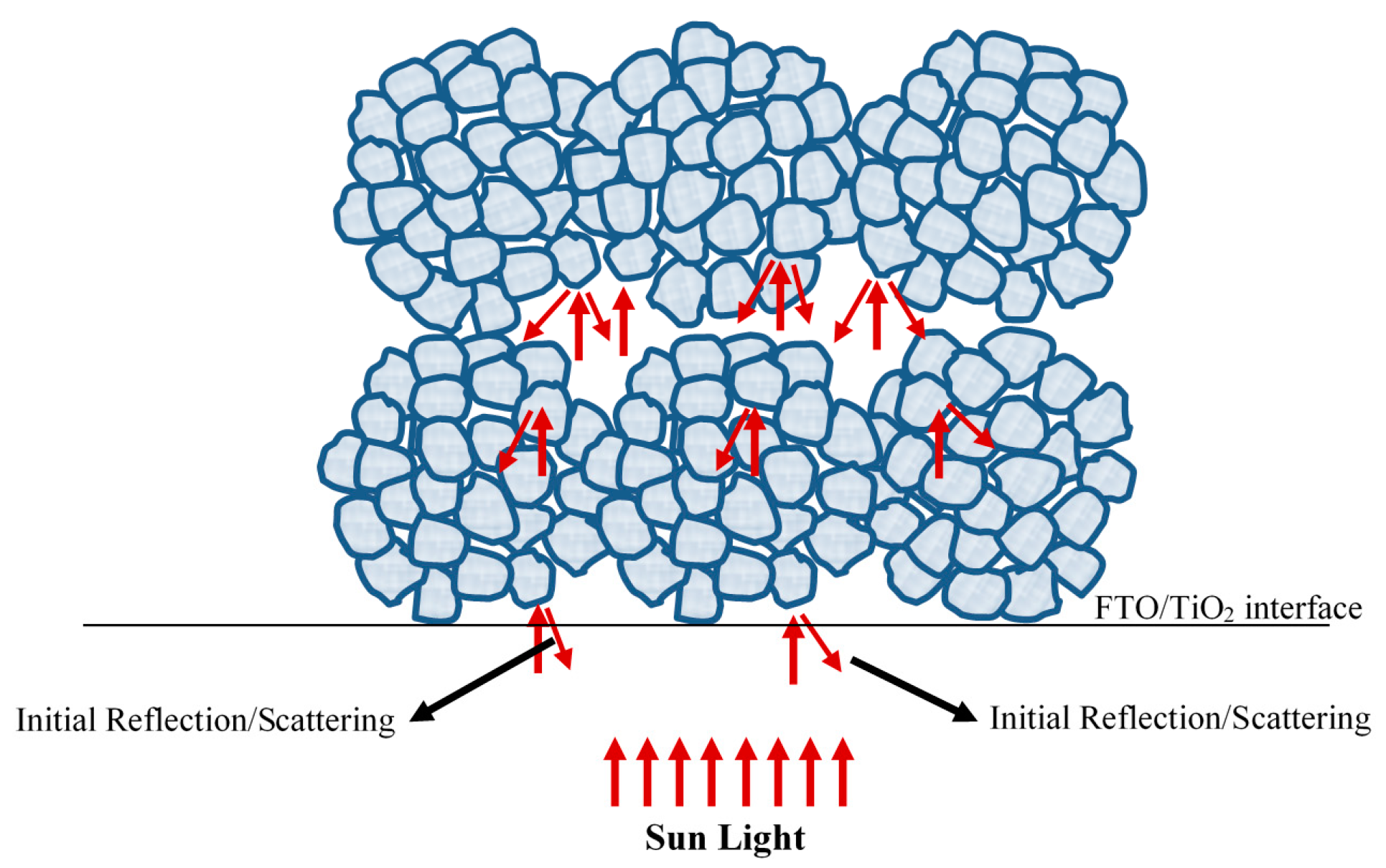 Nanomaterials 10 00413 g006