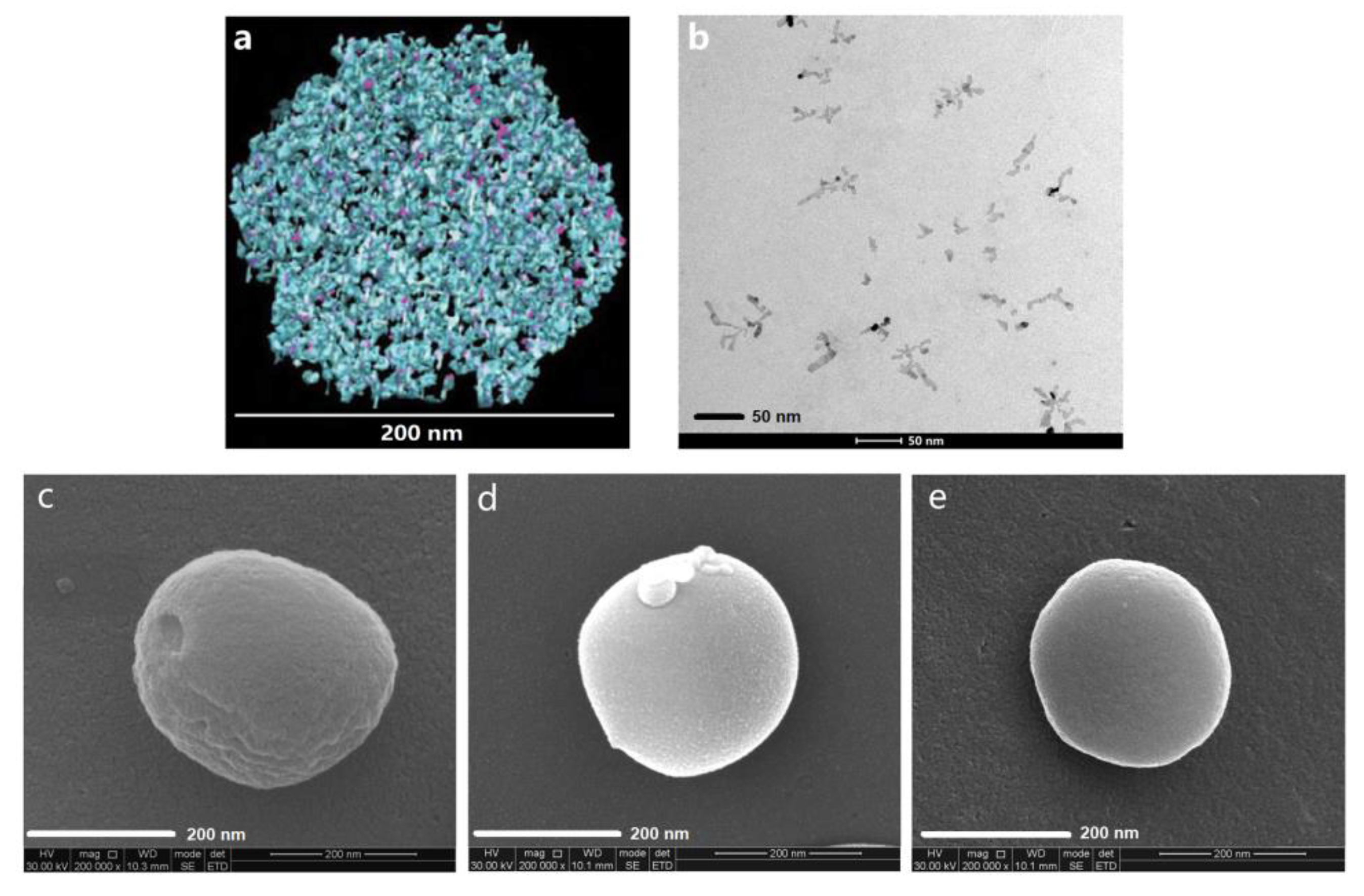 Nanomaterials 10 00451 g001 Nanomaterials 10 00451 g001