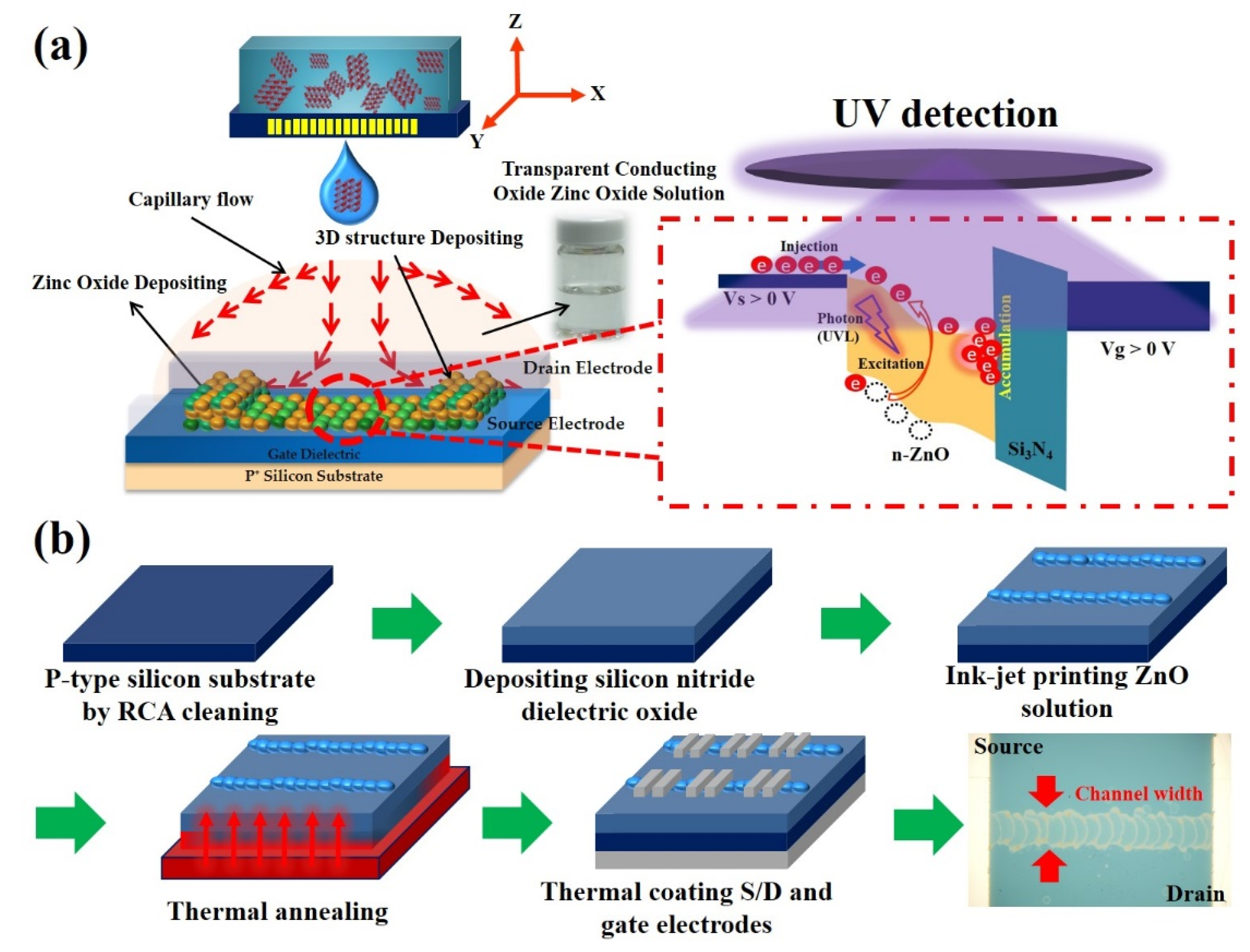 Nanomaterials 10 00458 g001