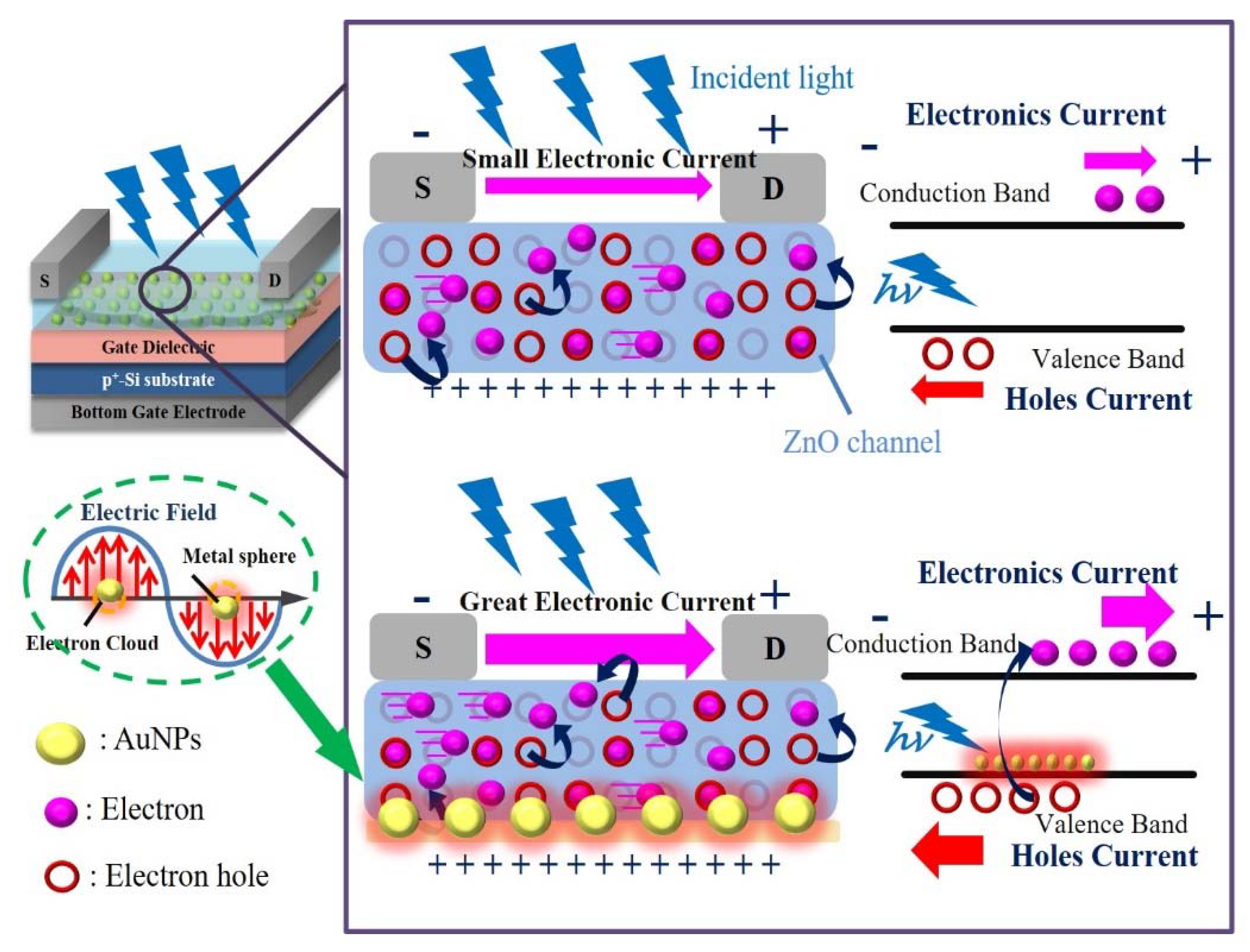 Nanomaterials 10 00458 g007