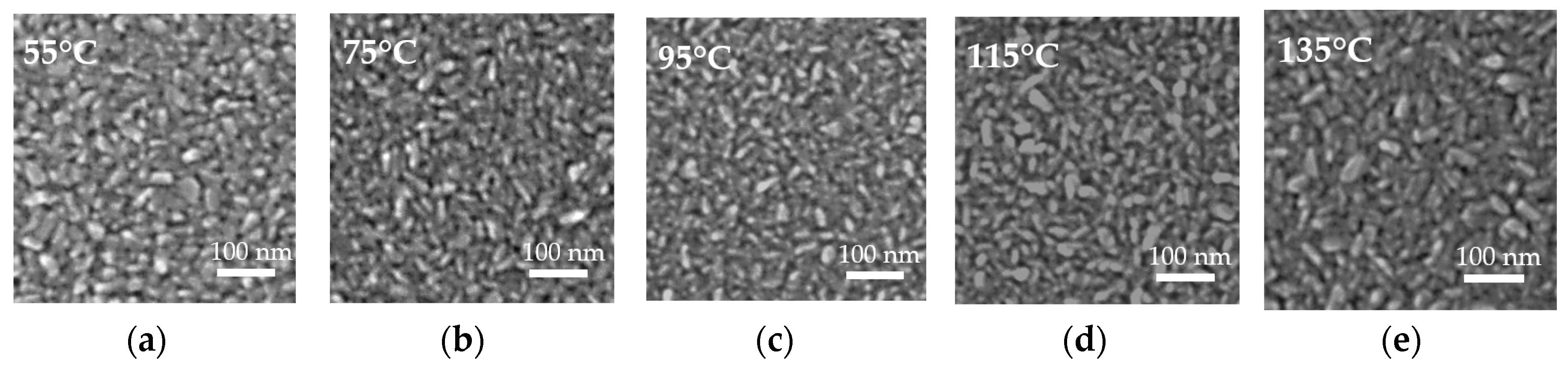 Nanomaterials 10 00459 g007