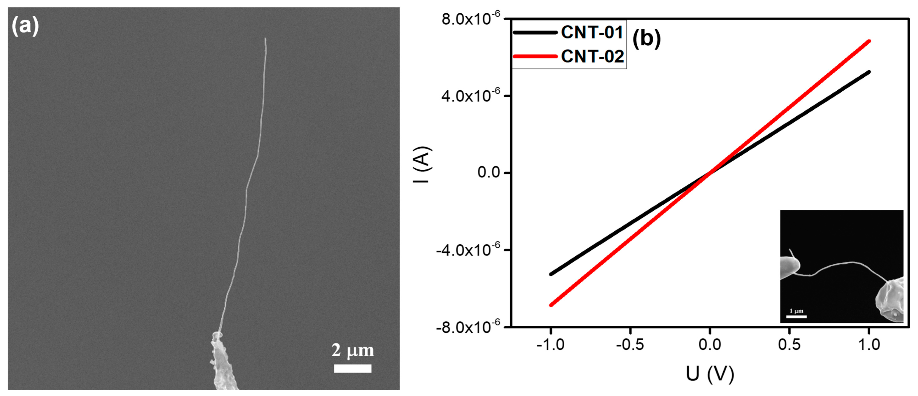 Nanomaterials 10 00469 g003