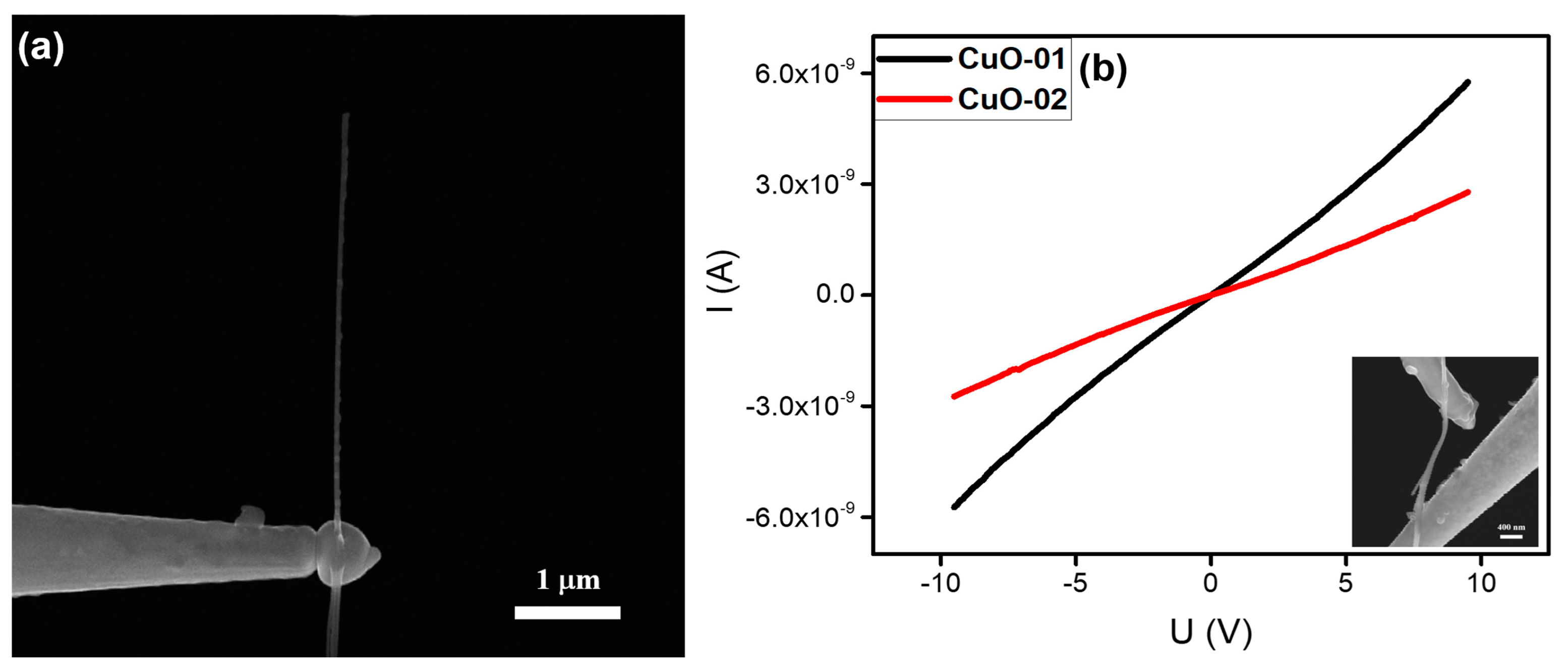 Nanomaterials 10 00469 g006
