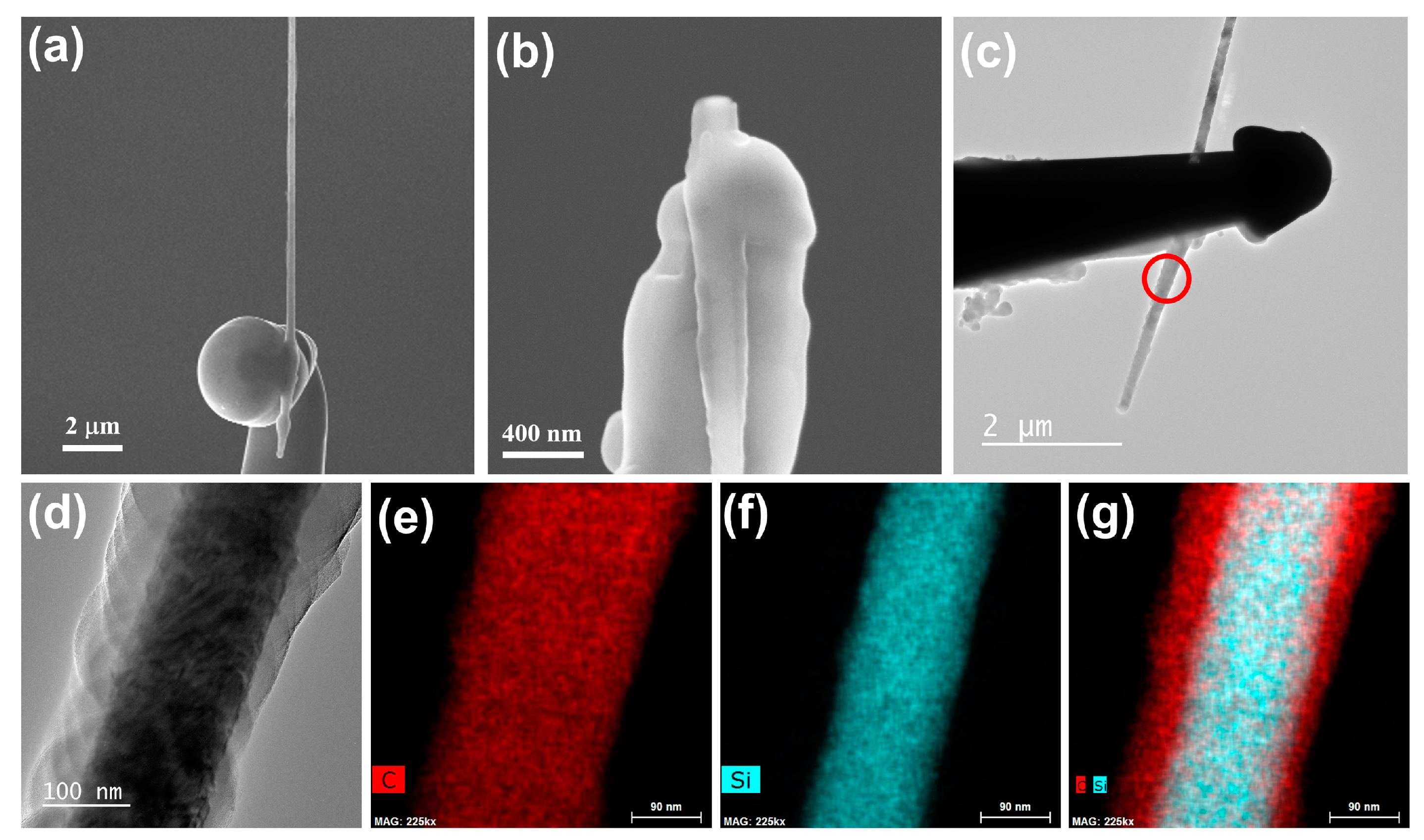 Nanomaterials 10 00469 g009