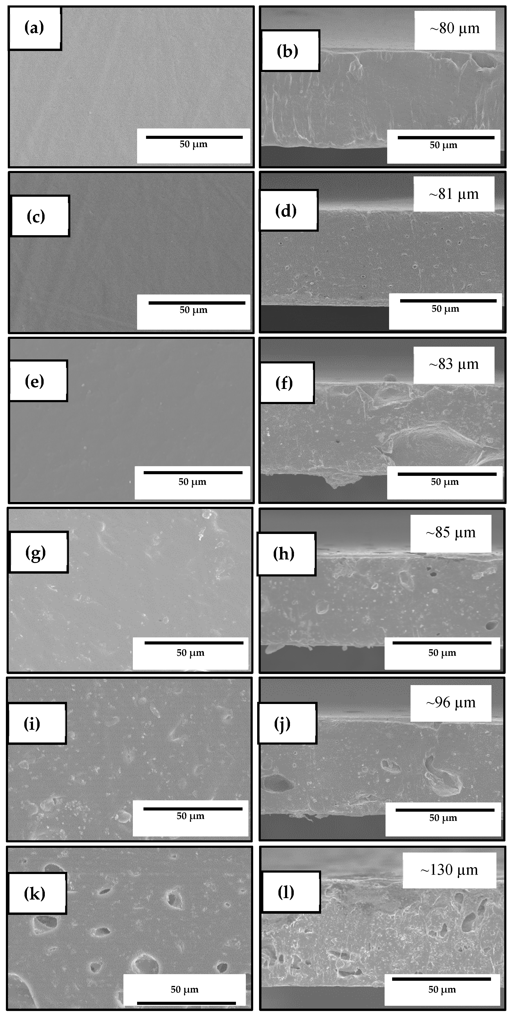 Nanomaterials 10 00506 g004 Nanomaterials 10 00506 g004