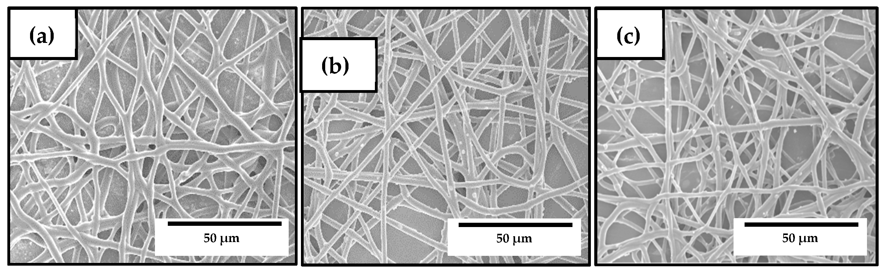 Nanomaterials 10 00506 g006 Nanomaterials 10 00506 g006