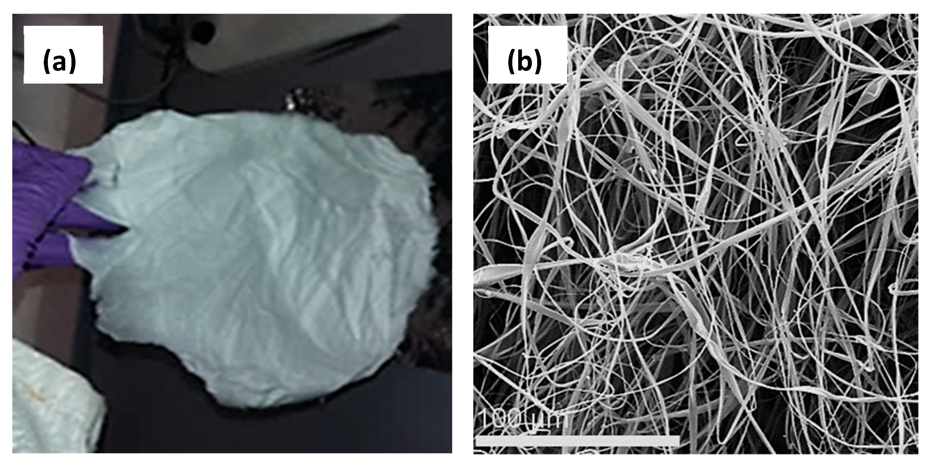 Nanomaterials 10 00517 g006