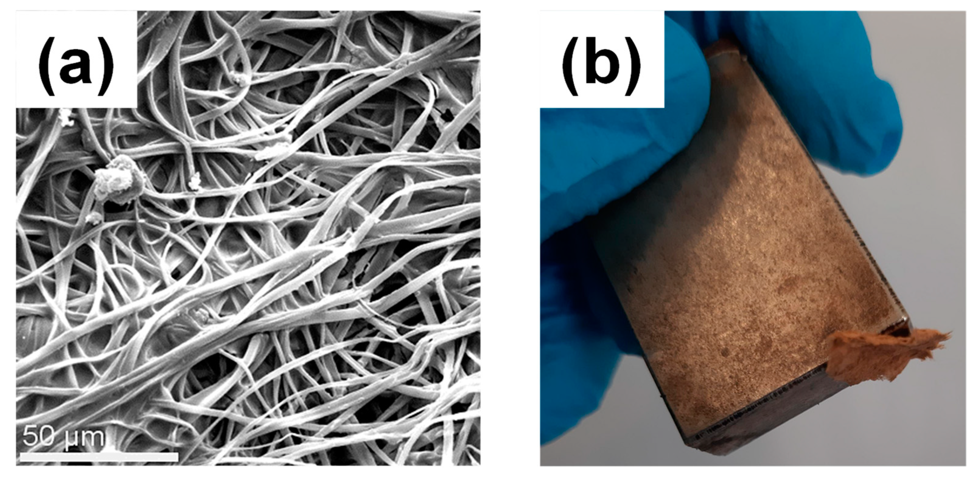 Nanomaterials | Free Full-Text | White Magnetic Paper with Zero Remanence  Based on Electrospun Cellulose Microfibers Doped with Iron Oxide  Nanoparticles