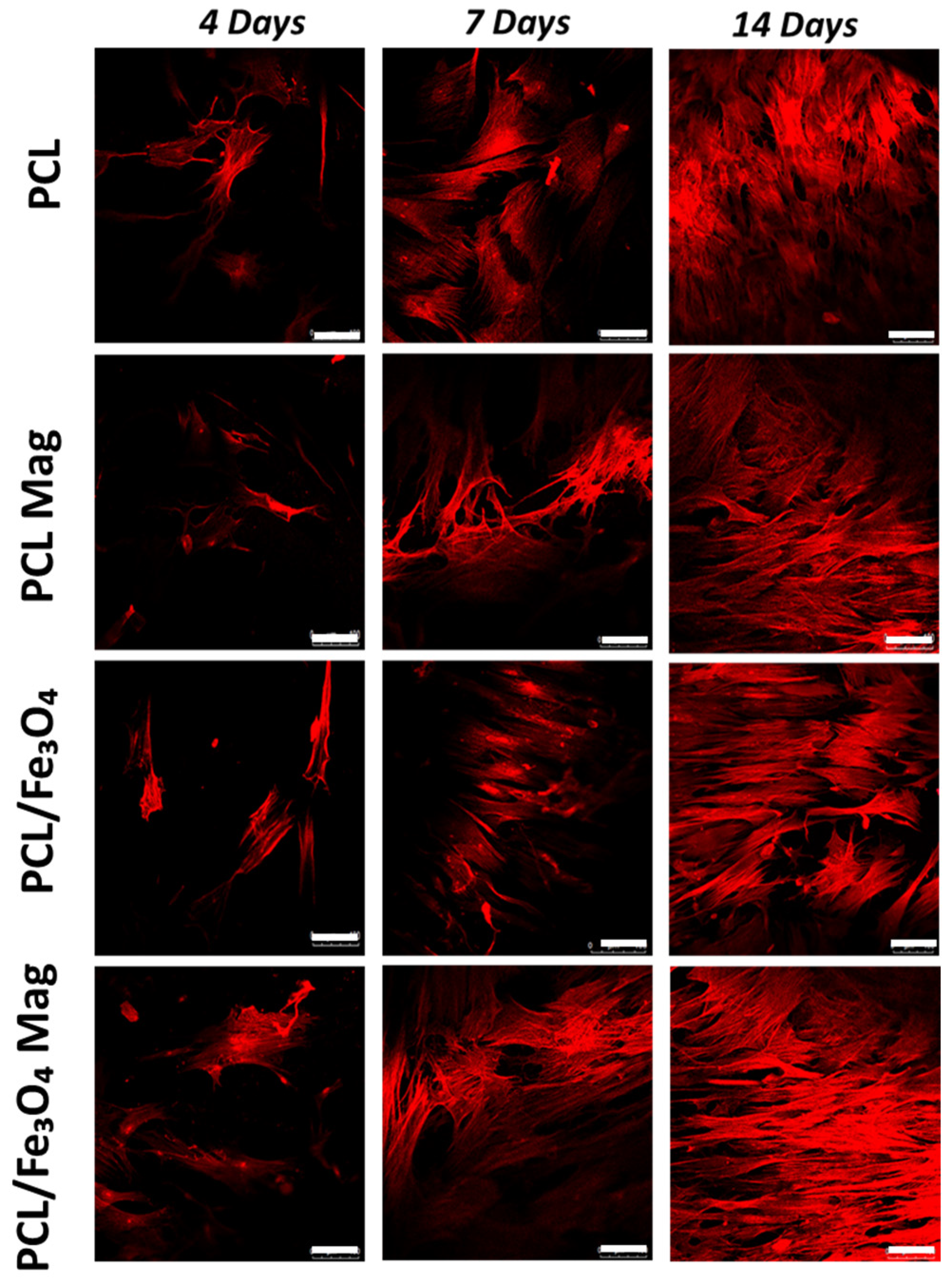 Nanomaterials 10 00577 g005