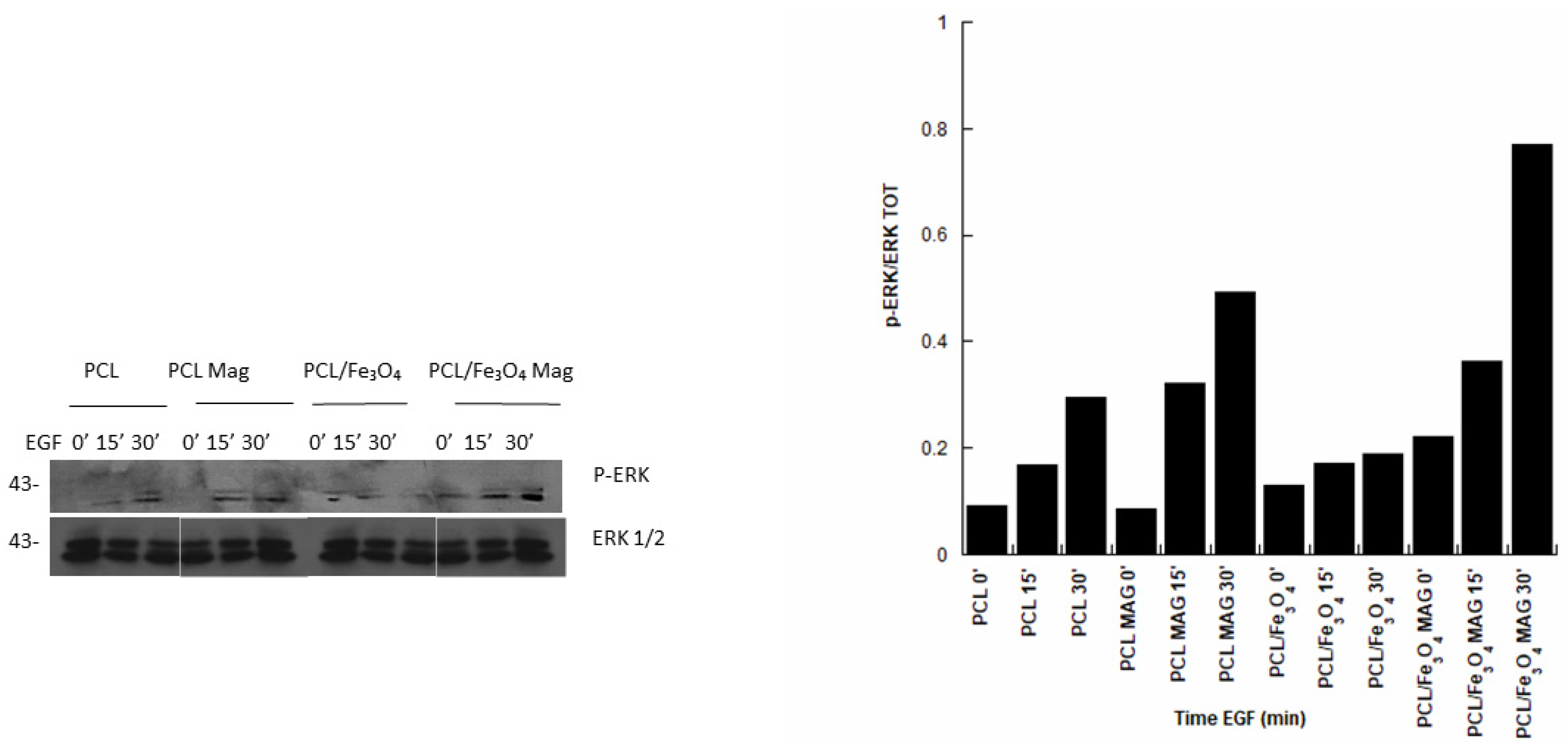 Nanomaterials 10 00577 g007