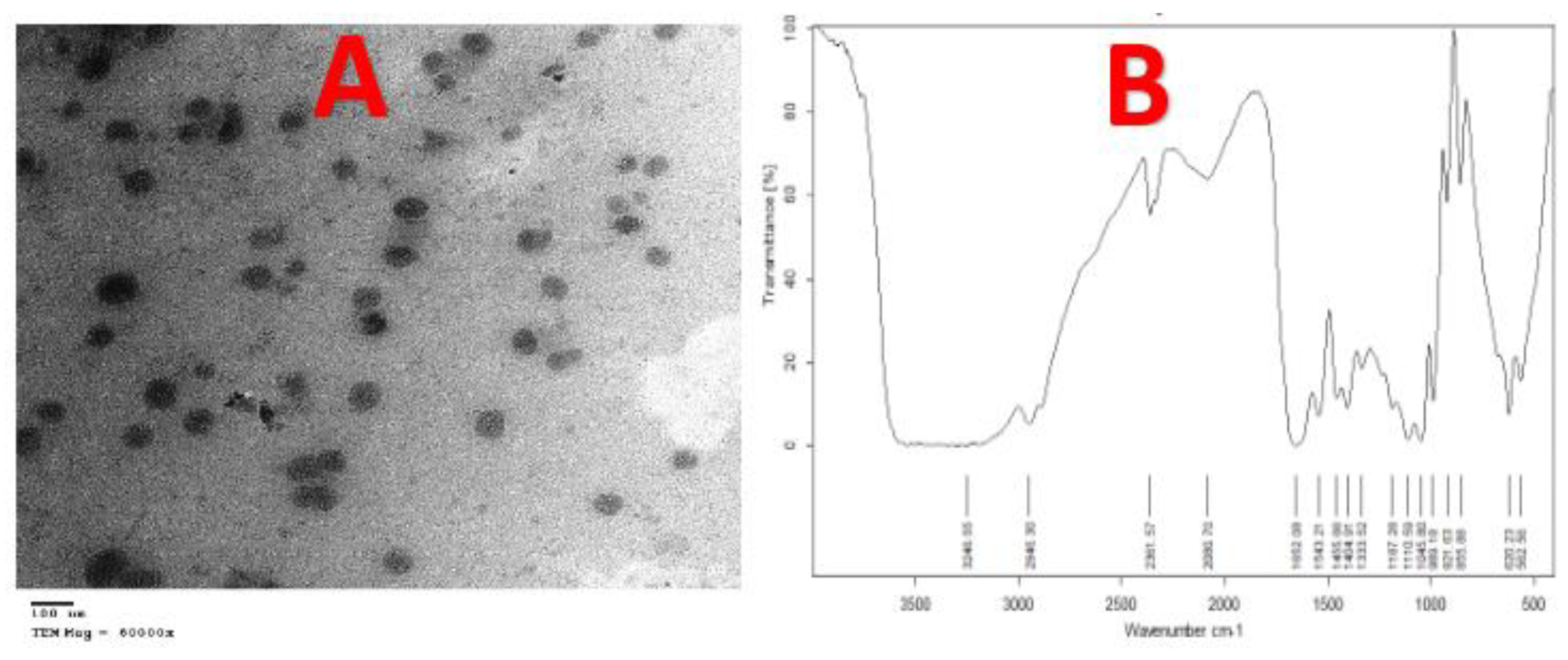 Nanomaterials 10 00587 g007 Nanomaterials 10 00587 g007