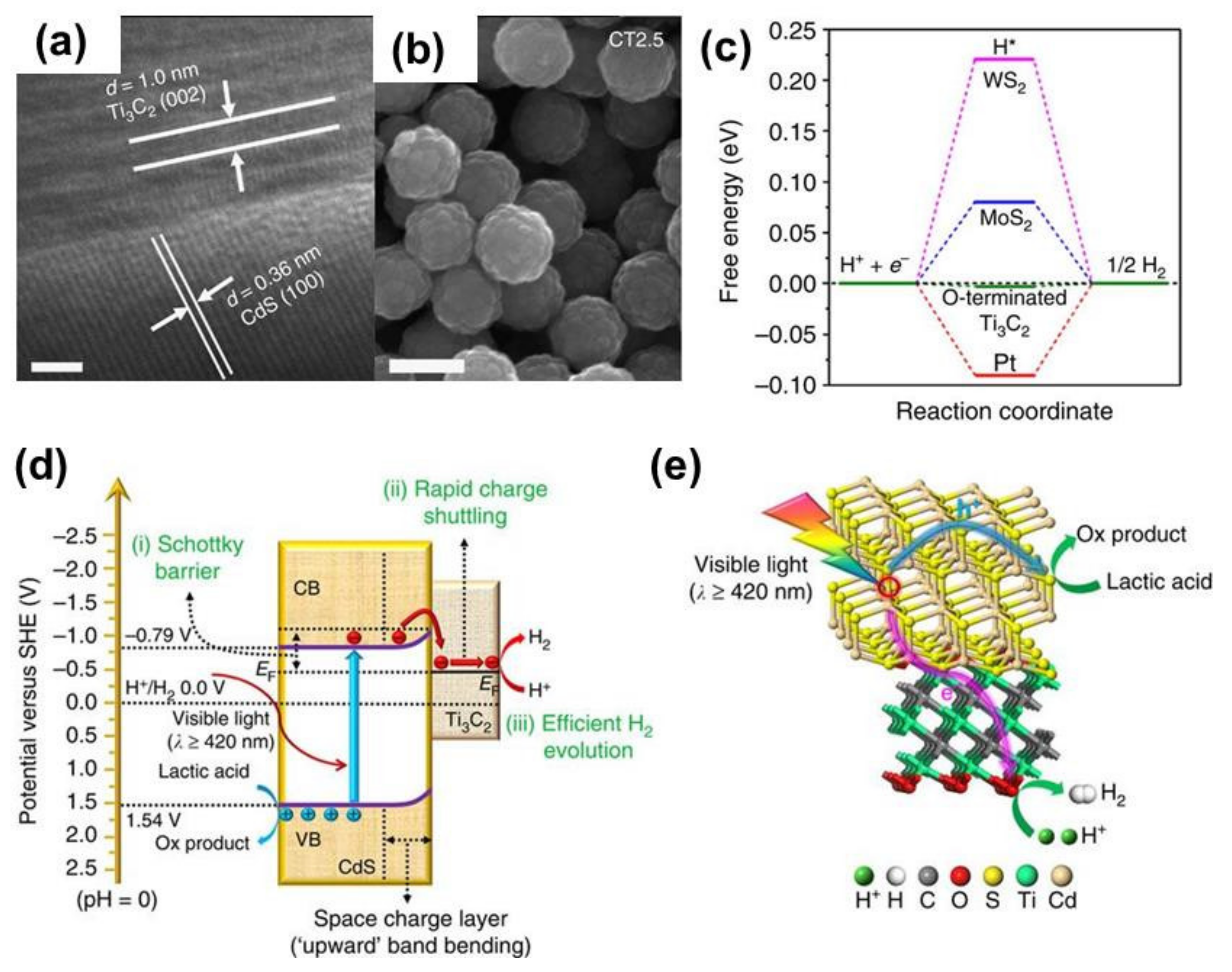 Nanomaterials 10 00602 g006 Nanomaterials 10 00602 g006