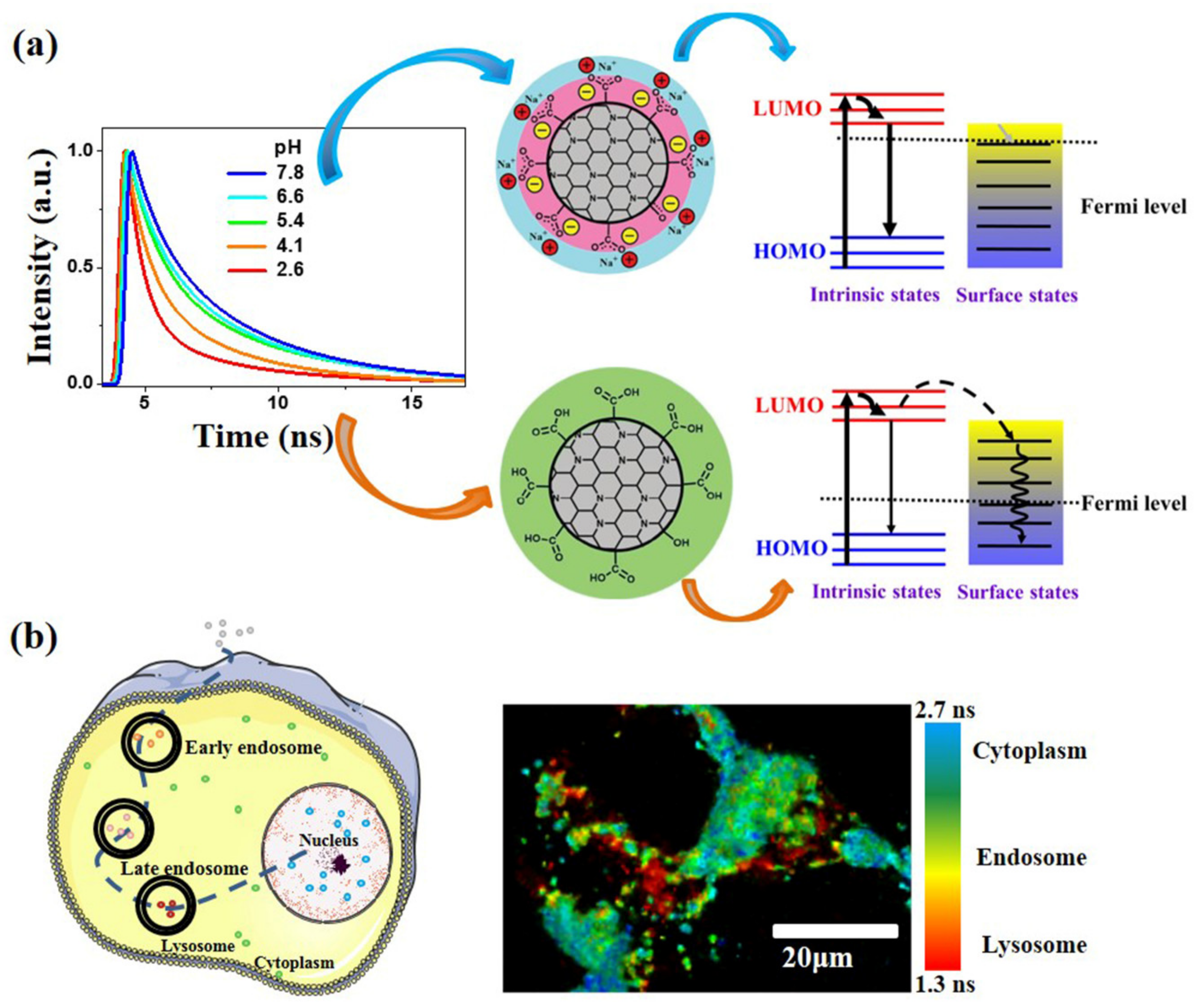 Nanomaterials Free Full Text Carbon Dots For Intracellular Ph Sensing With Fluorescence 9226