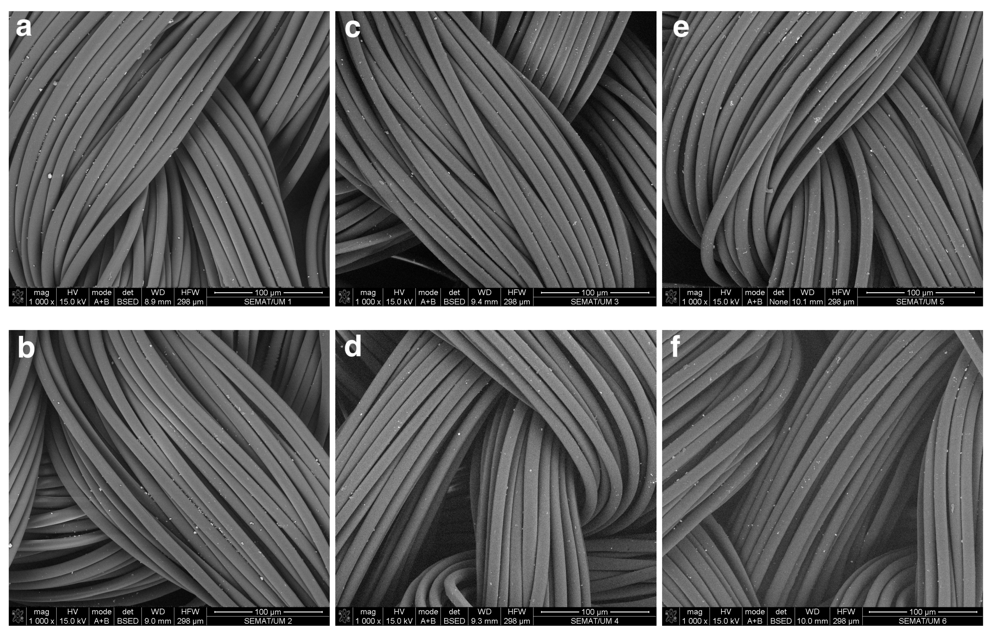 Nanomaterials Free Full Text Effect Of Dispersion Solvent On The Deposition Of Pvp Silver Nanoparticles Onto Dbd Plasma Treated Polyamide 6 6 Fabric And Its Antimicrobial Efficiency Html