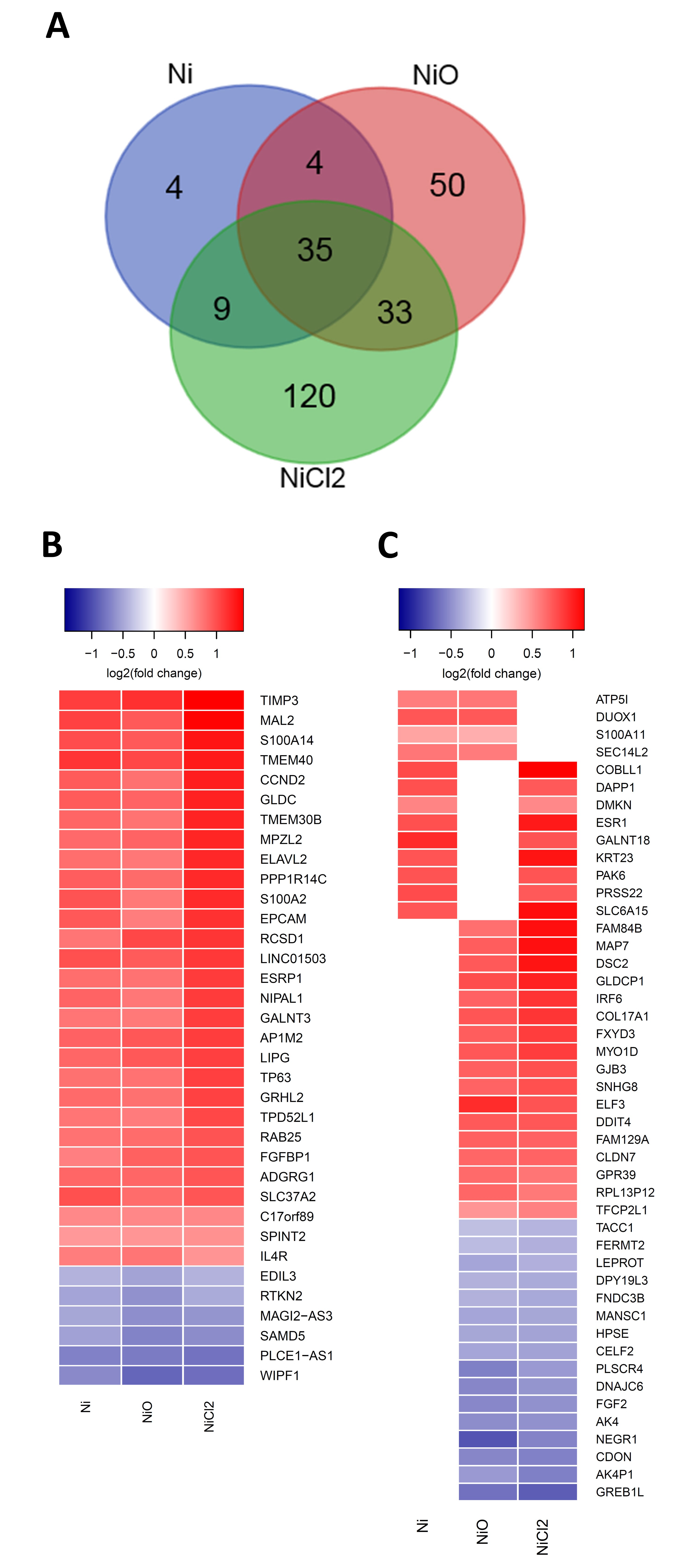 Nanomaterials 10 00649 g004