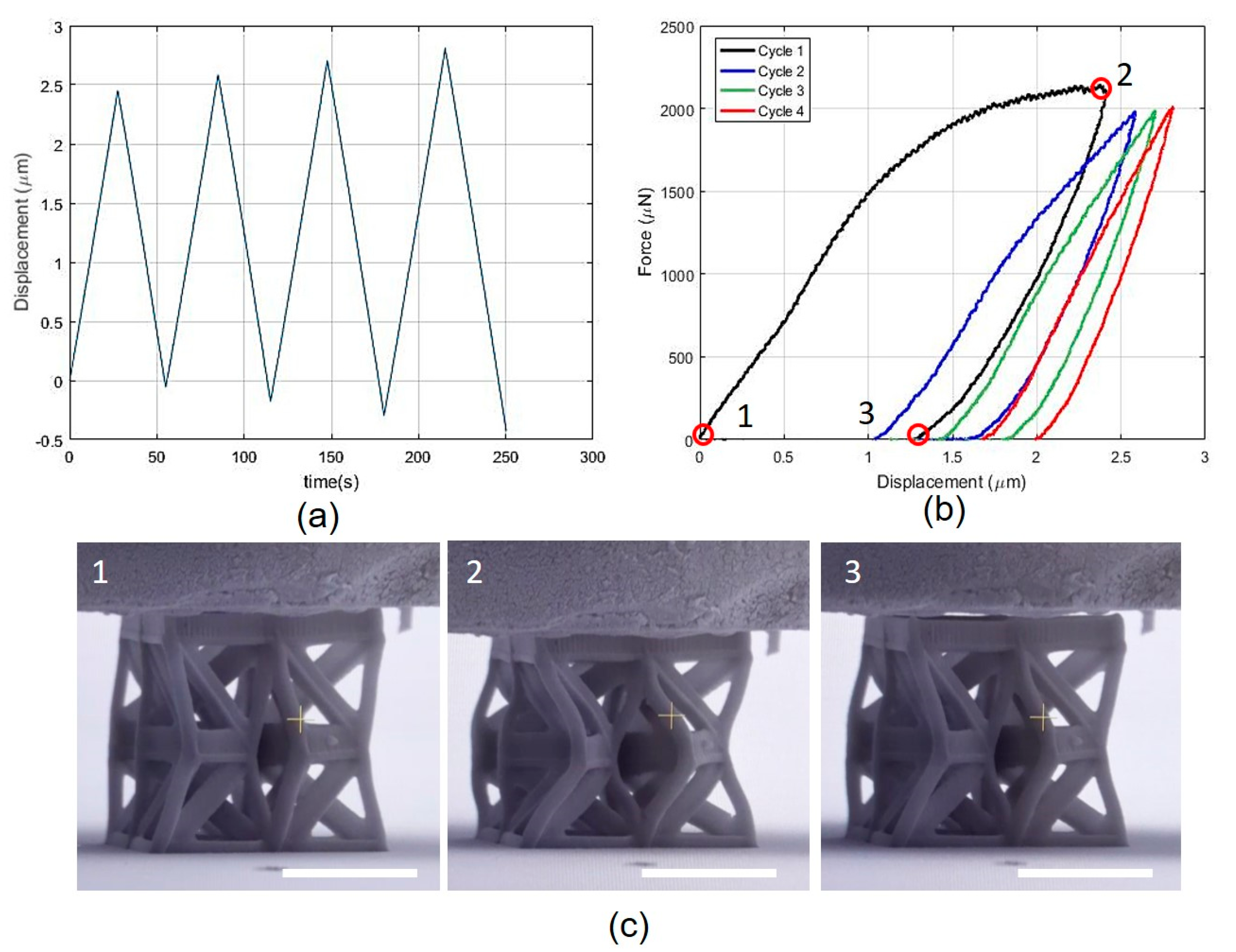 Nanomaterials 10 00652 g007