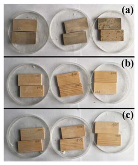 Epoxy Resin & Wood Basics Series - Mold Release (Part 6/11) 