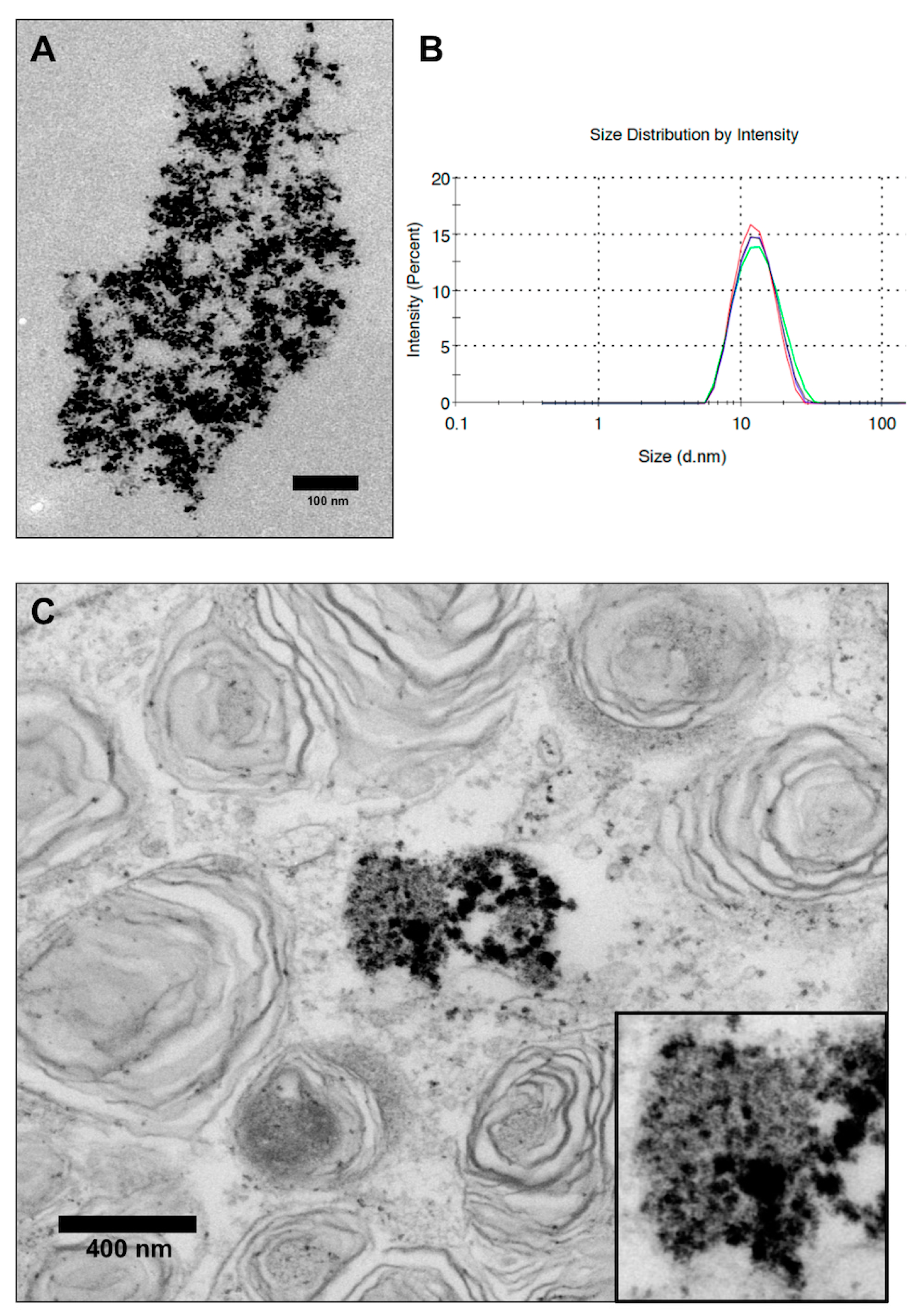 Nanomaterials 10 00741 g001 Nanomaterials 10 00741 g001