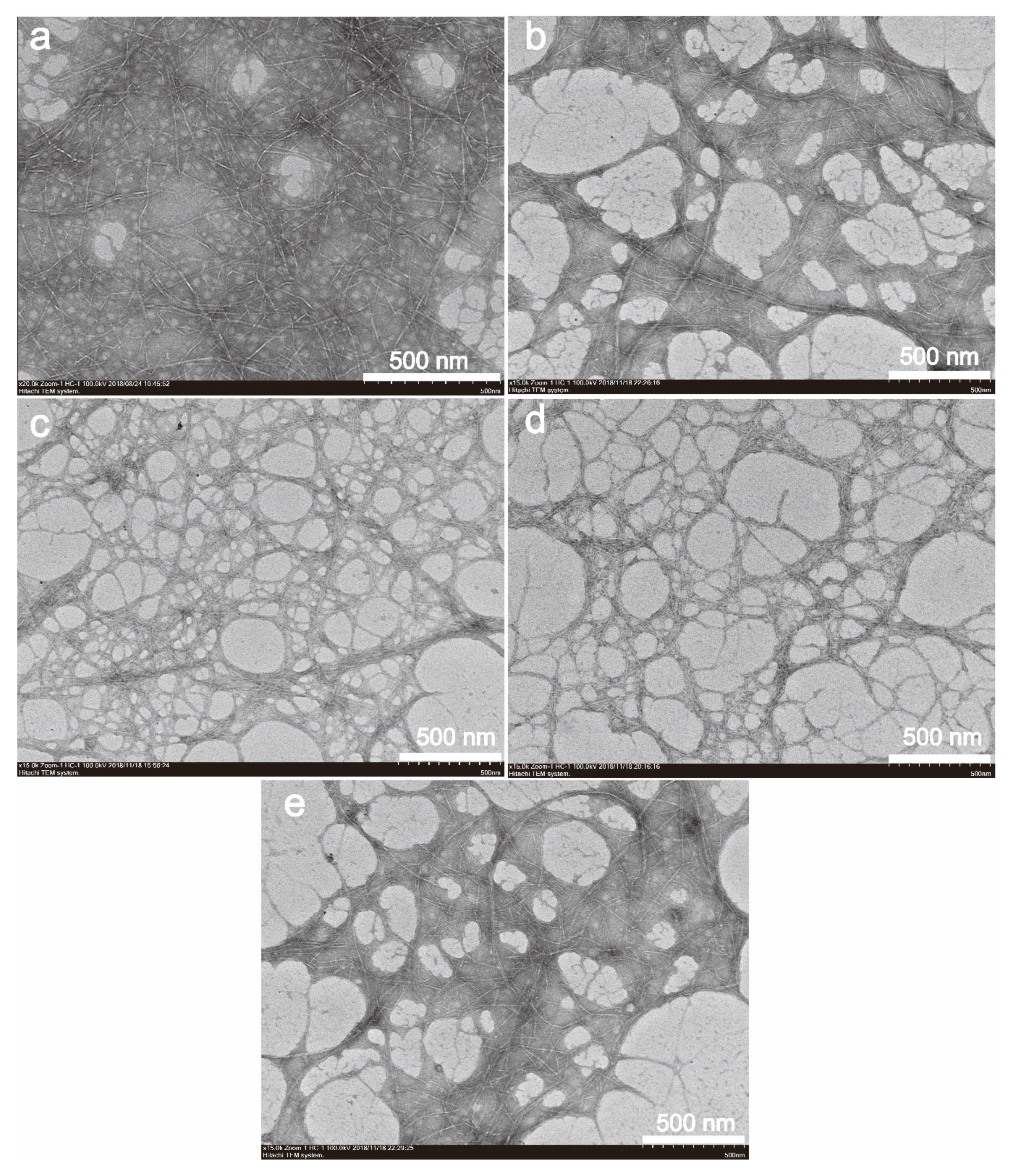 Nanomaterials 10 00755 g001 Nanomaterials 10 00755 g001