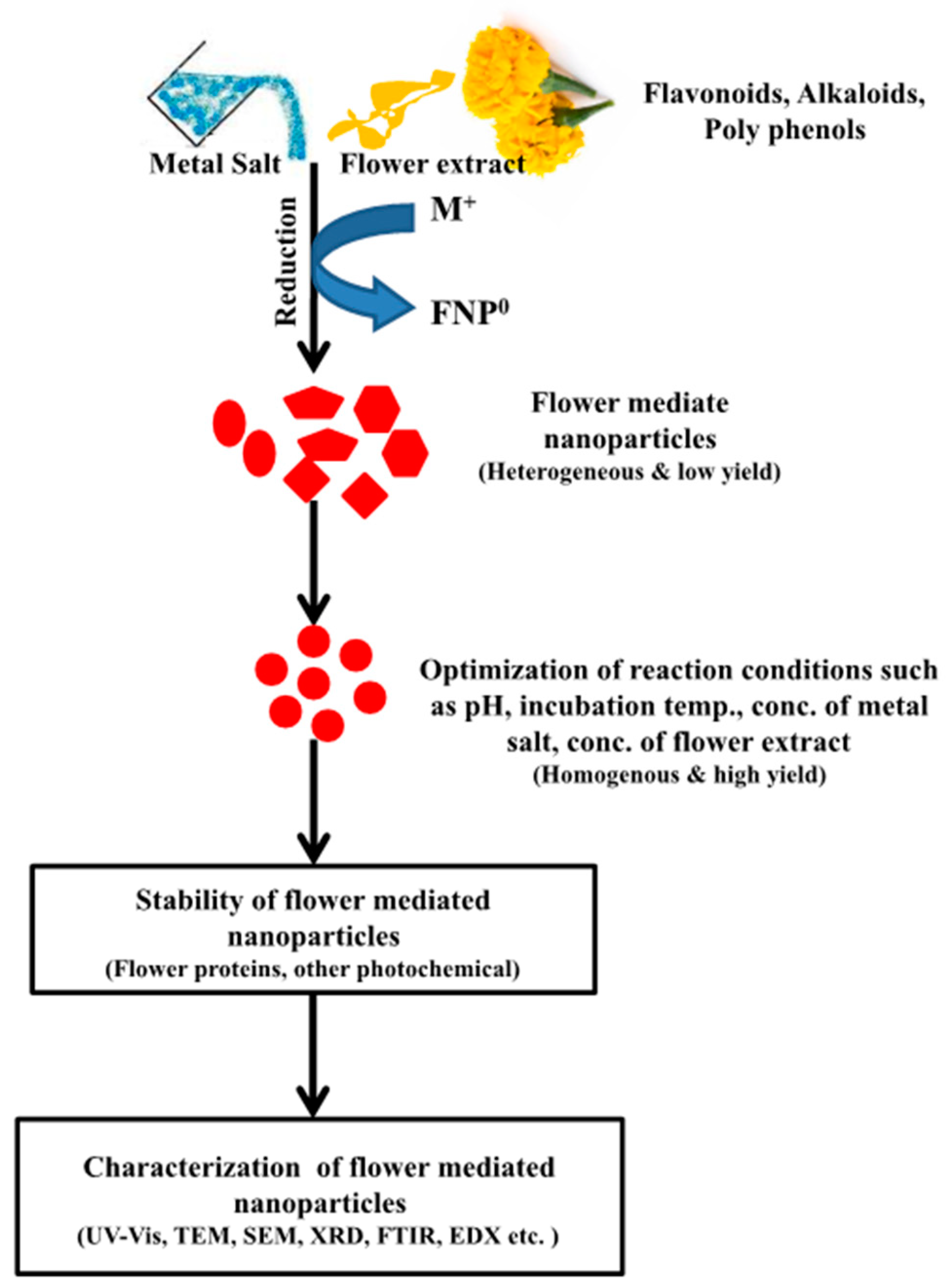 Nanomaterials 10 00766 g002